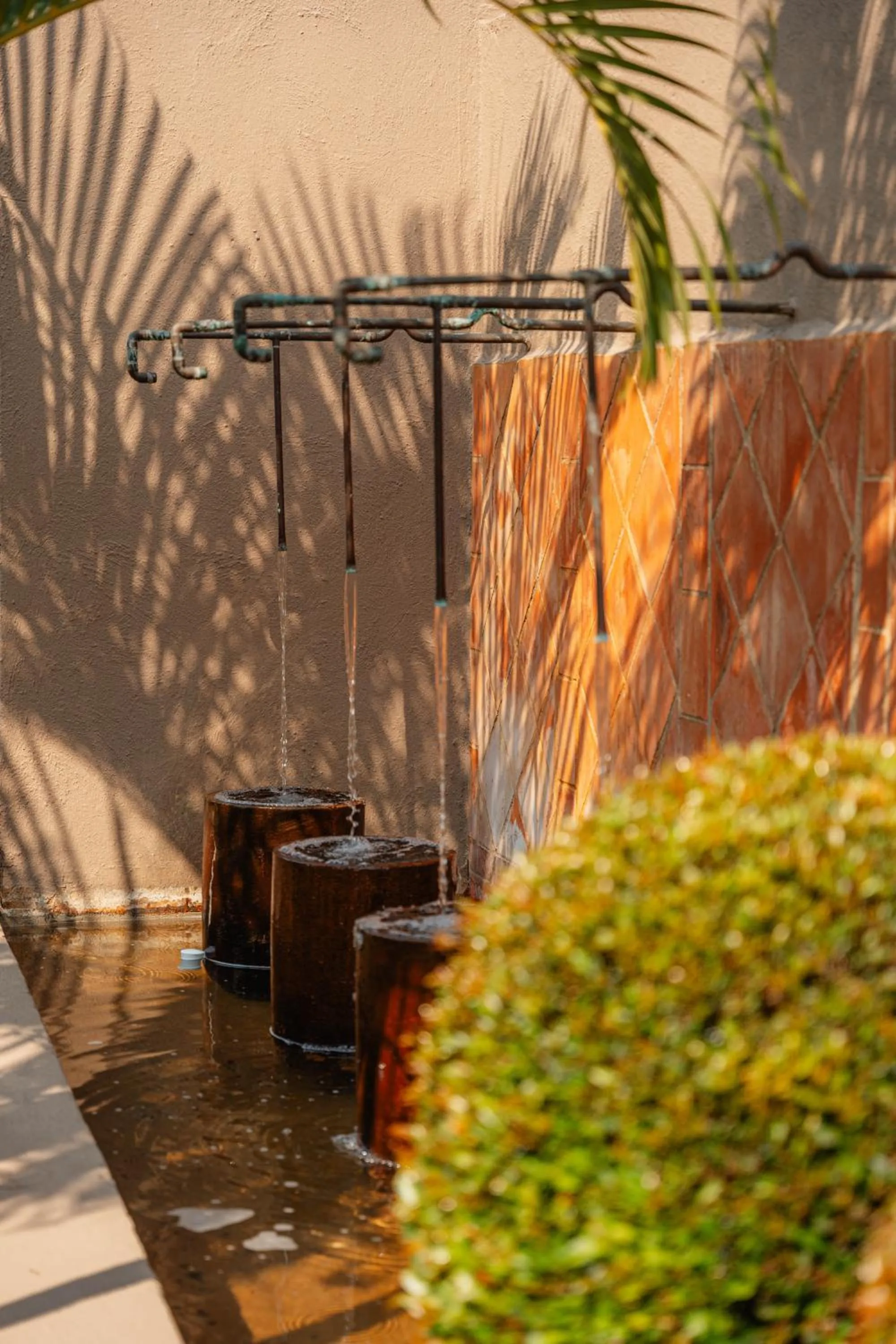 Garden in Bambuu Lakeside Lodge