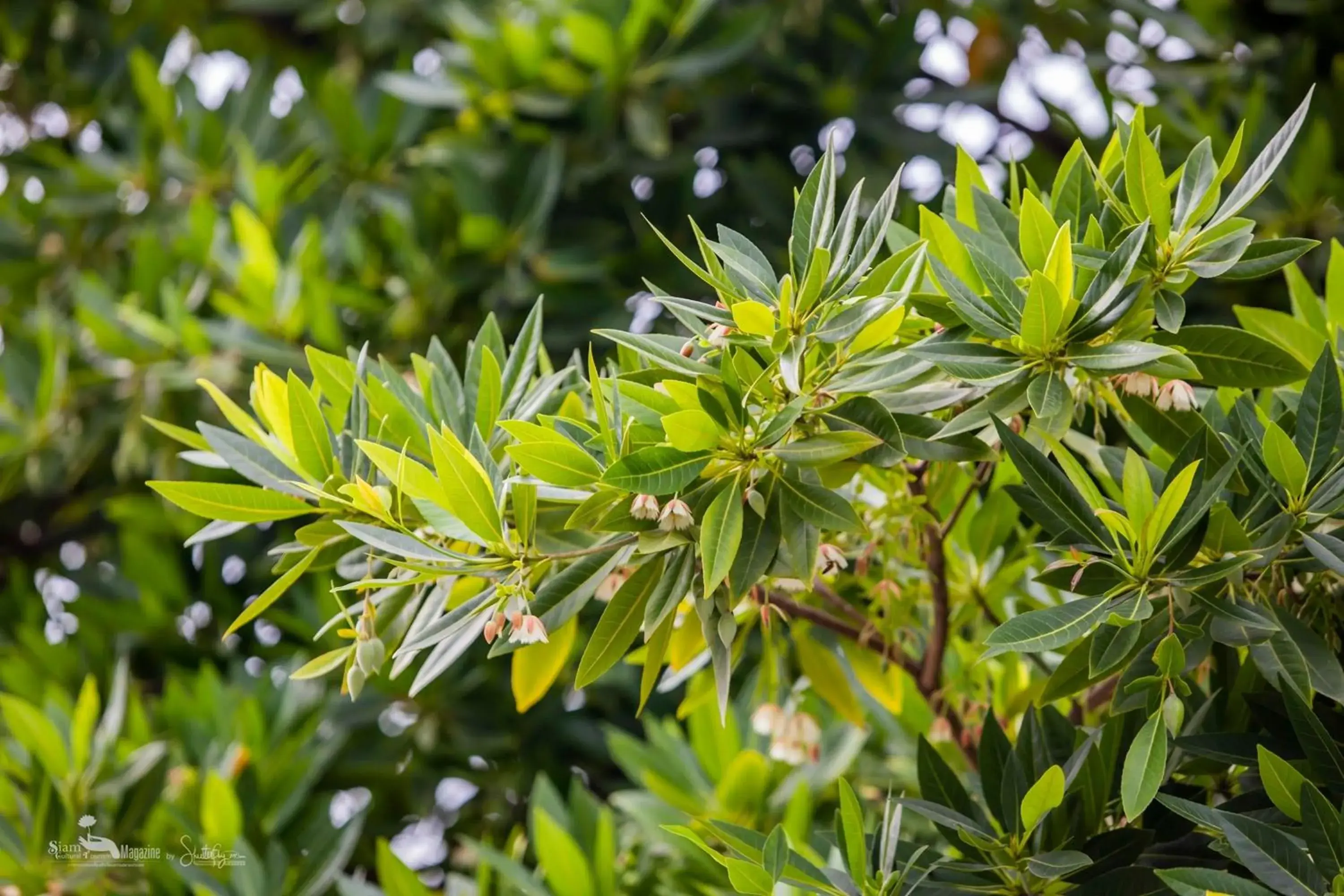 Property building in Nano Place Hotel Property building in Nano Place Hotel