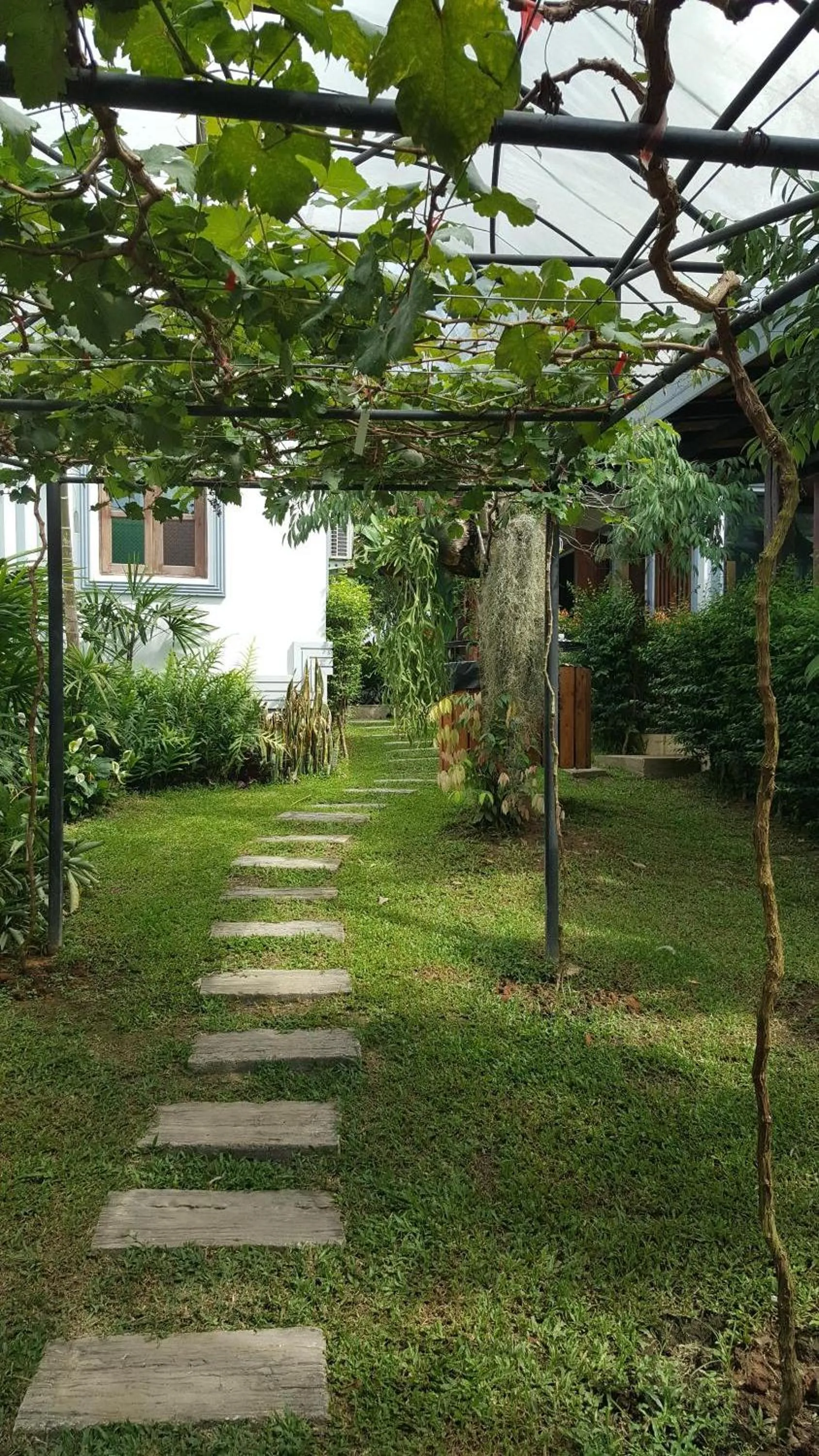 Garden in Buraphat Resort