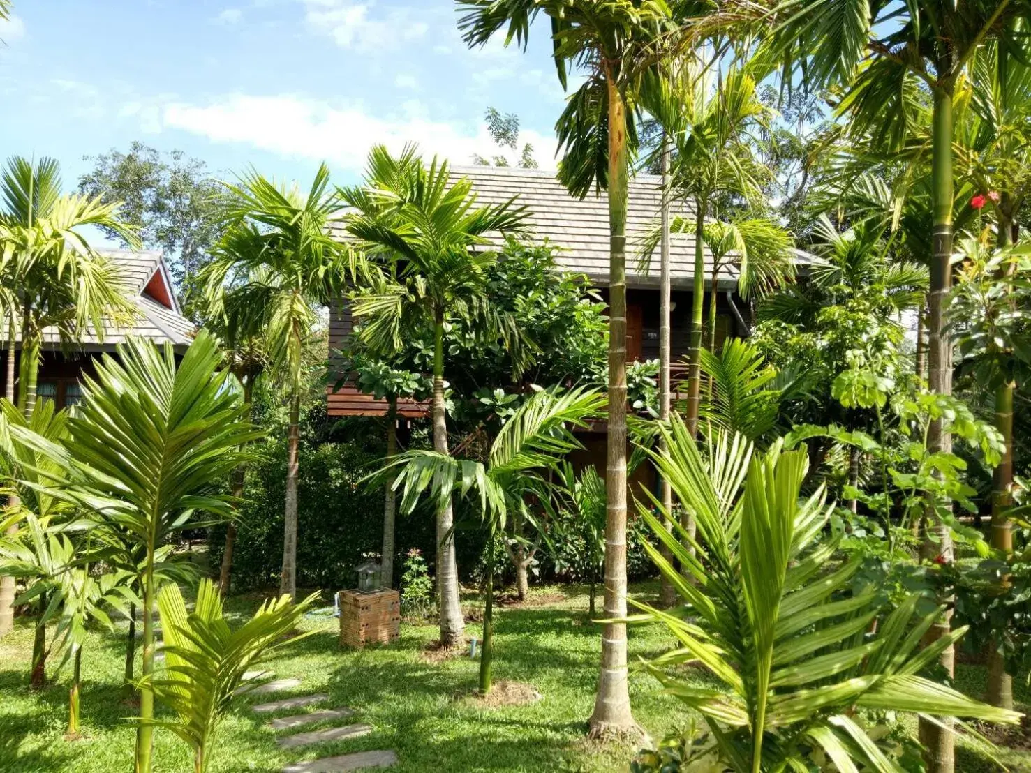 Garden view in Buraphat Resort Garden view in Buraphat Resort