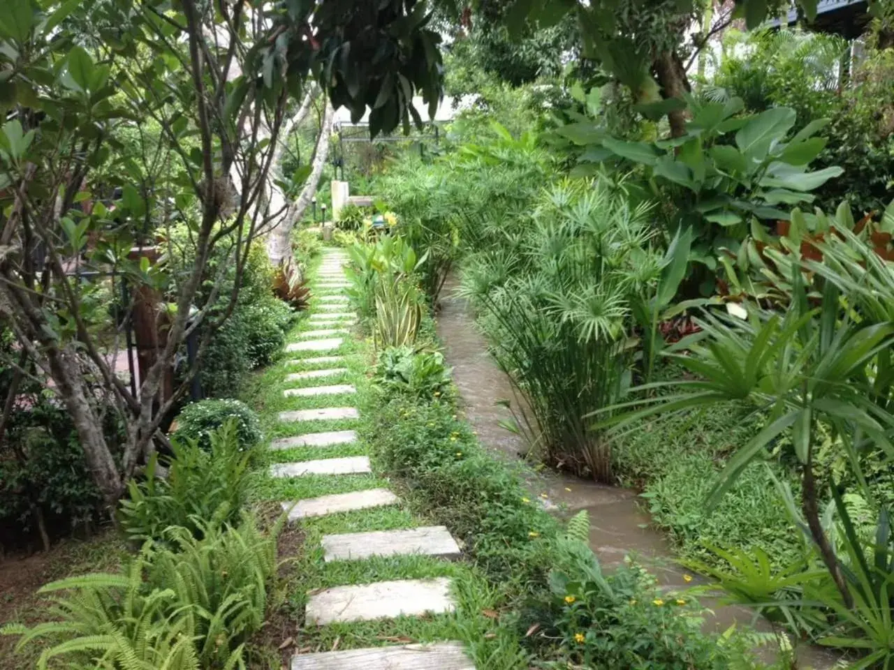 Garden view in Buraphat Resort Garden view in Buraphat Resort