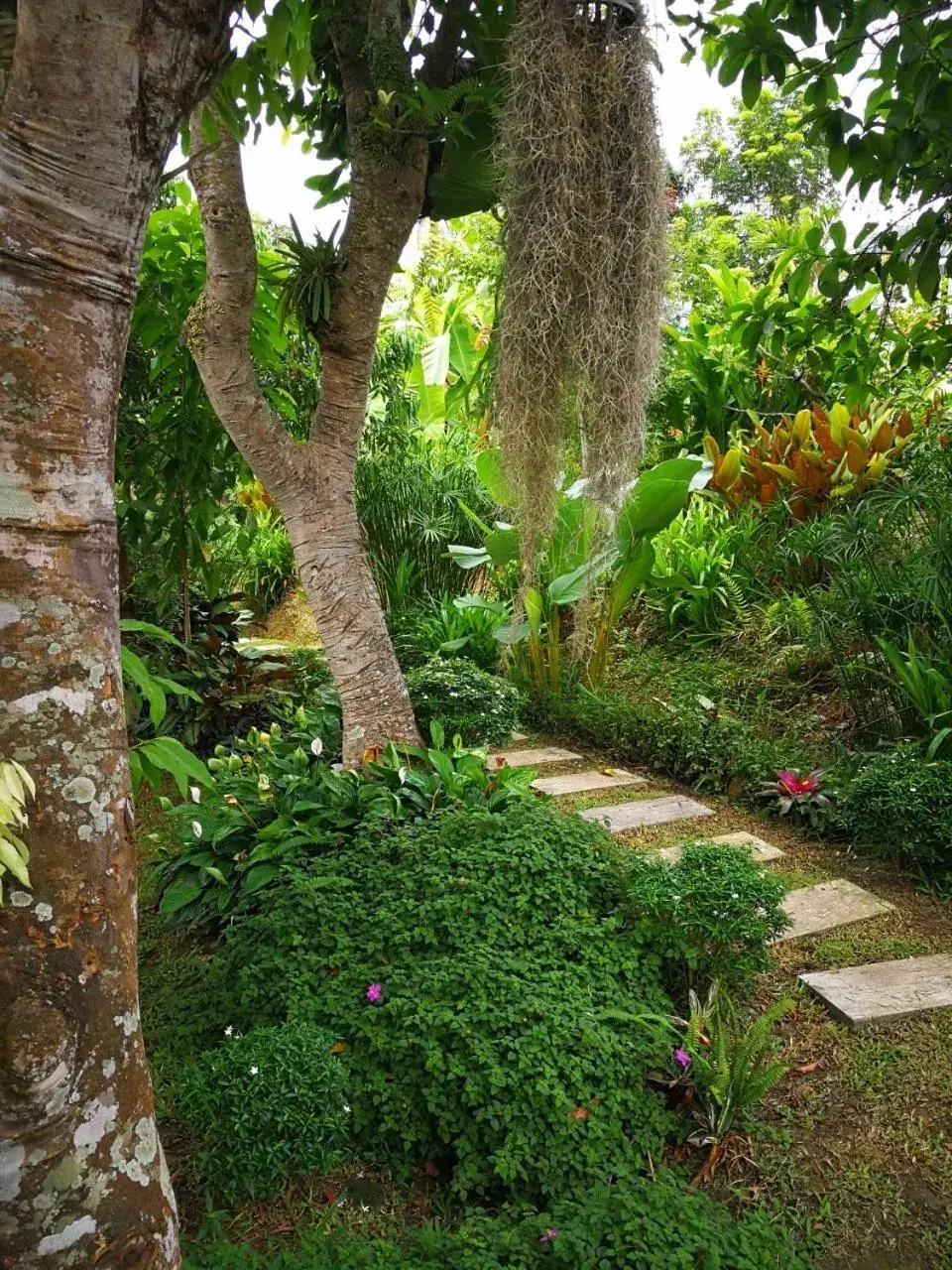 Garden view in Buraphat Resort Garden view in Buraphat Resort