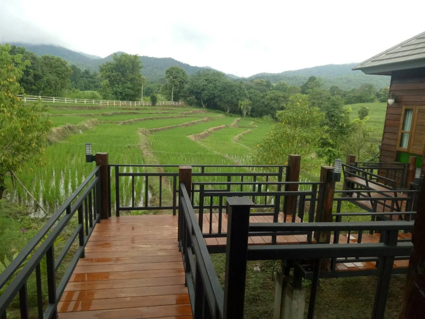 Natural landscape in Buraphat Resort