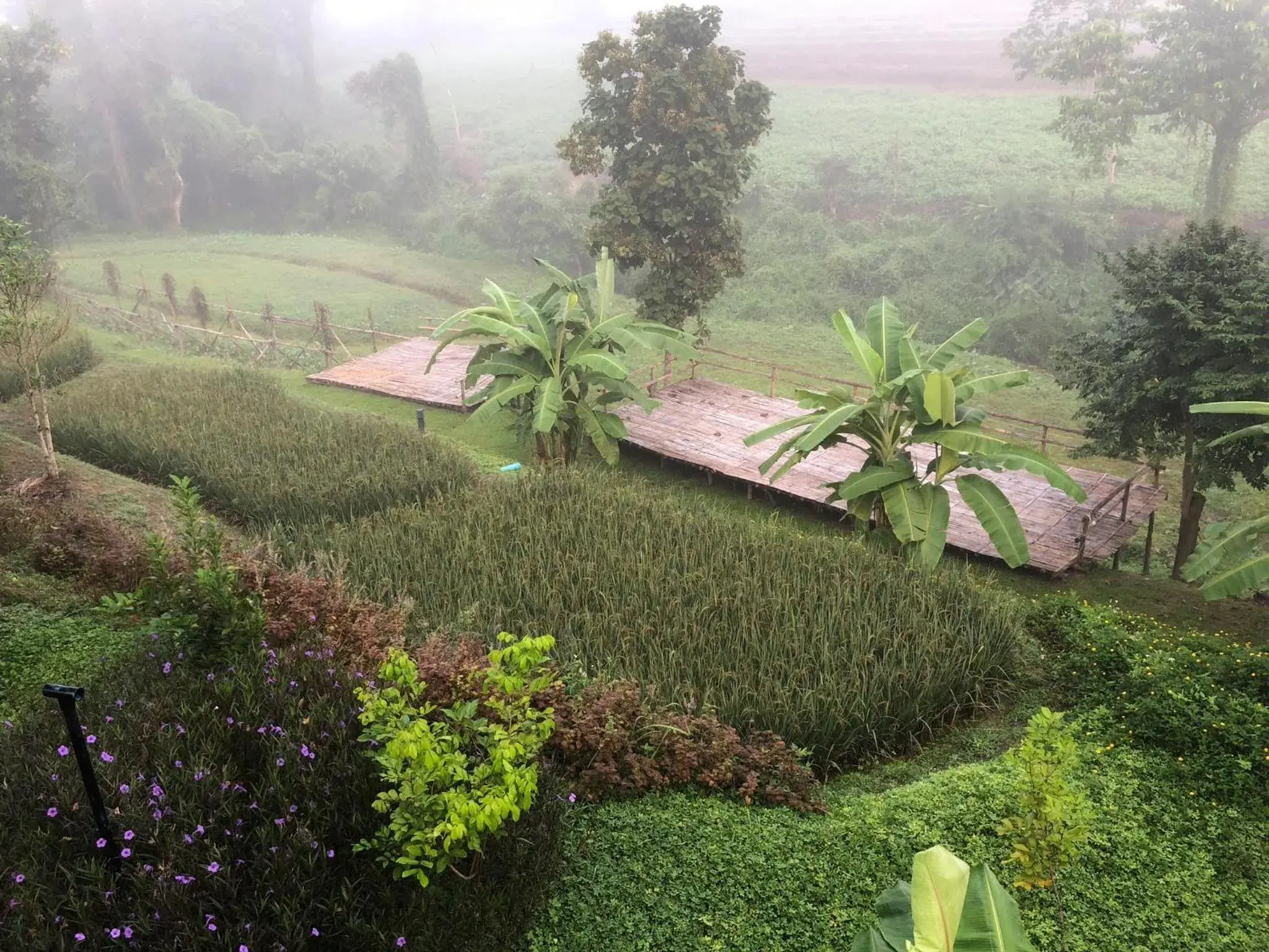 Garden view in Buraphat Resort Garden view in Buraphat Resort
