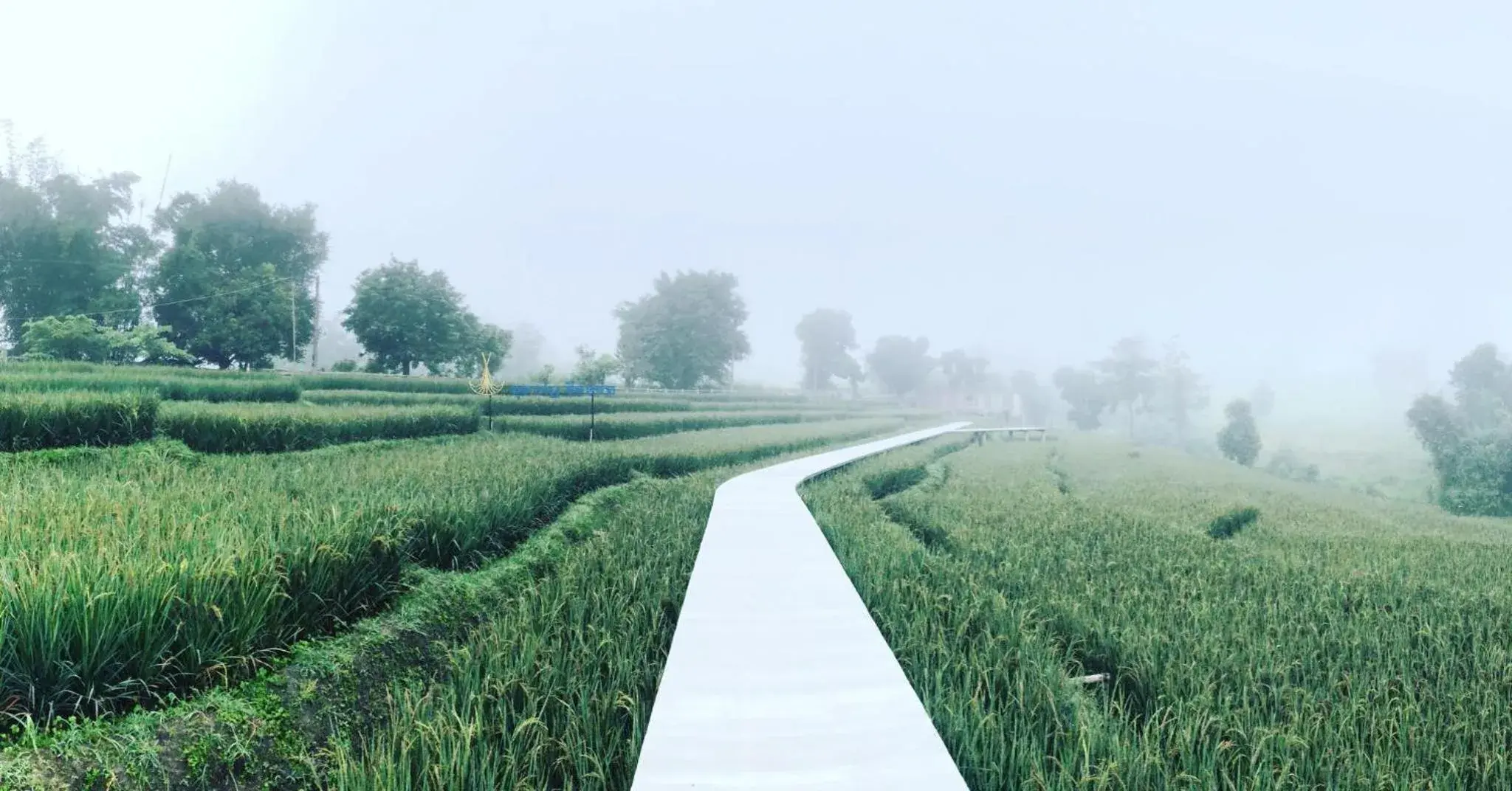 View (from property/room) in Buraphat Resort View (from property/room) in Buraphat Resort