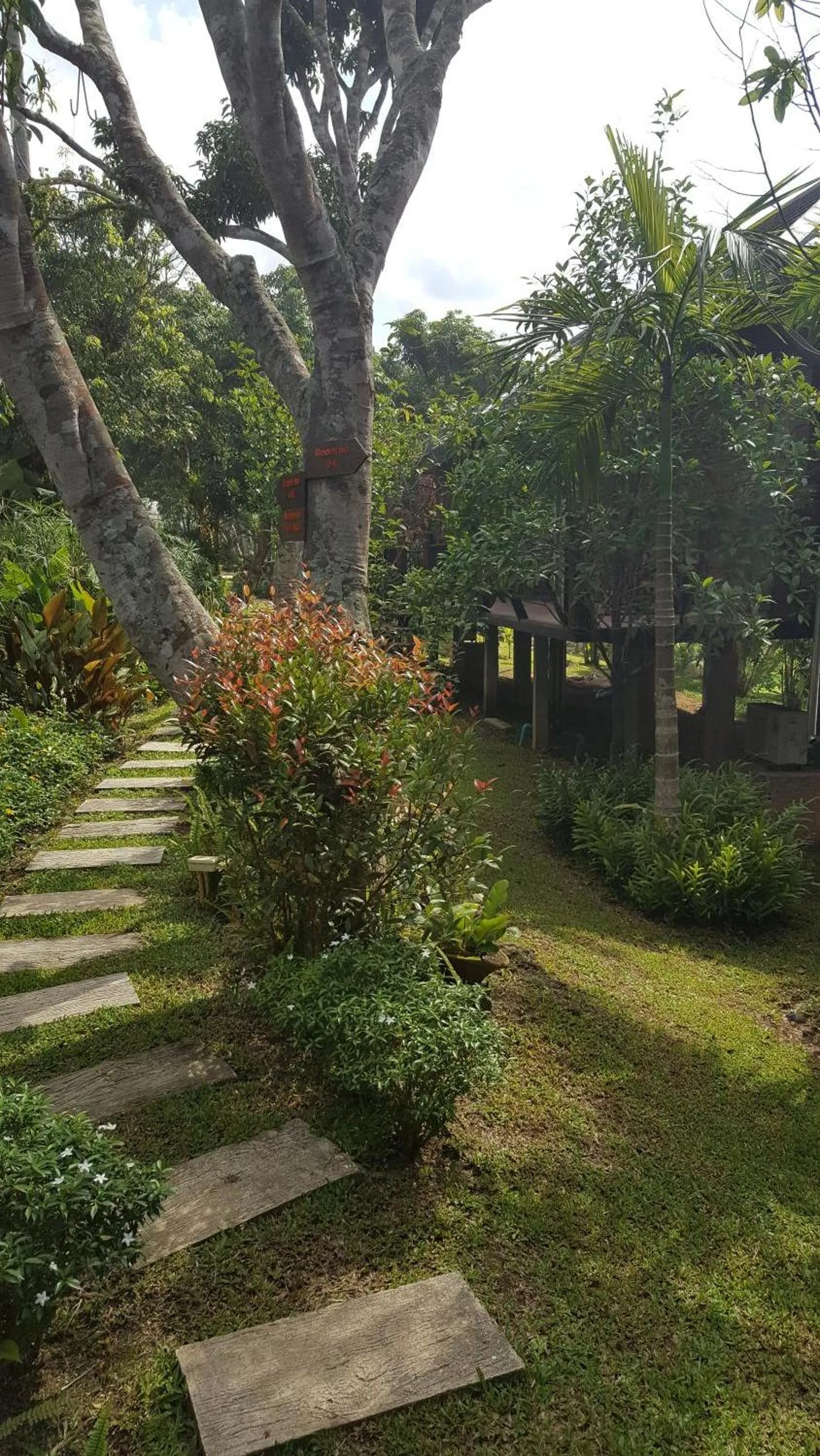 Garden view in Buraphat Resort