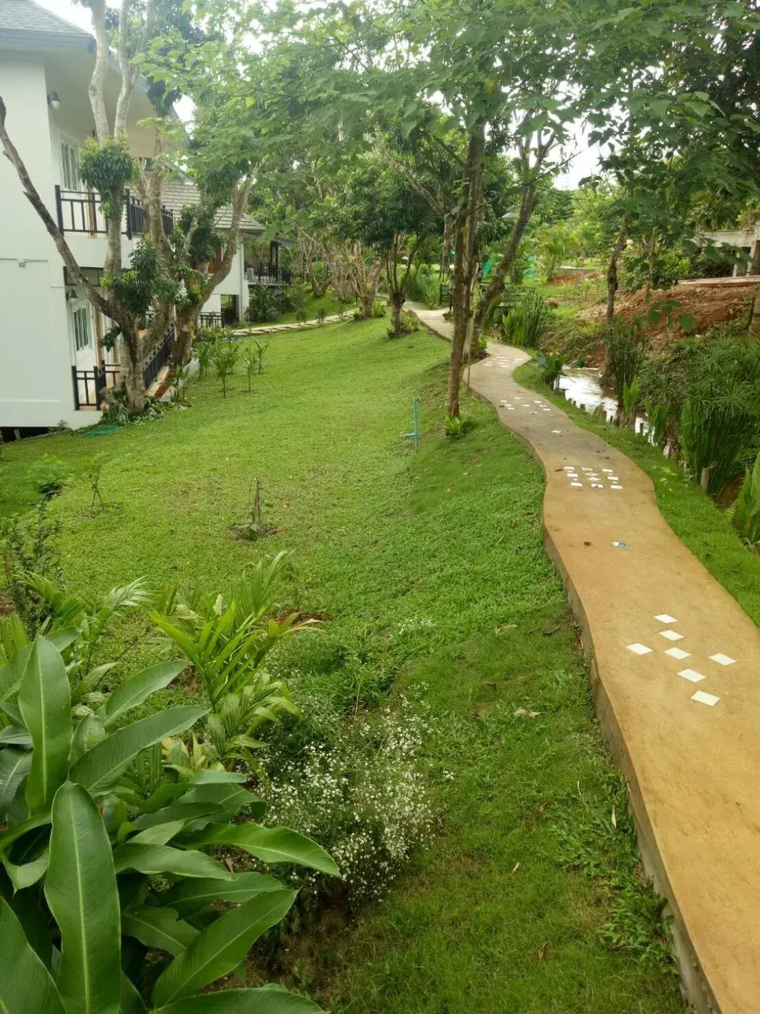 Garden view in Buraphat Resort Garden view in Buraphat Resort