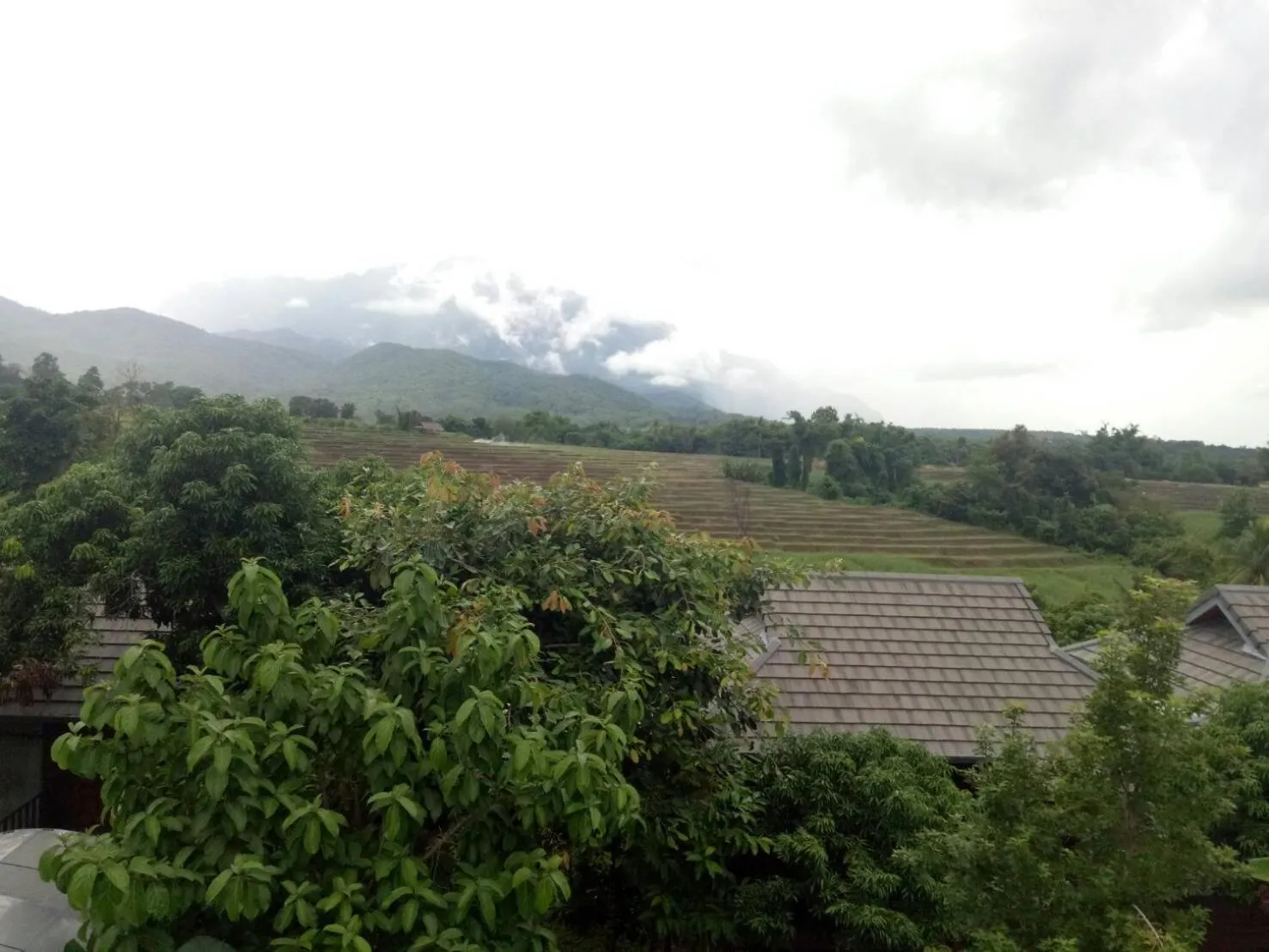 Natural landscape in Buraphat Resort