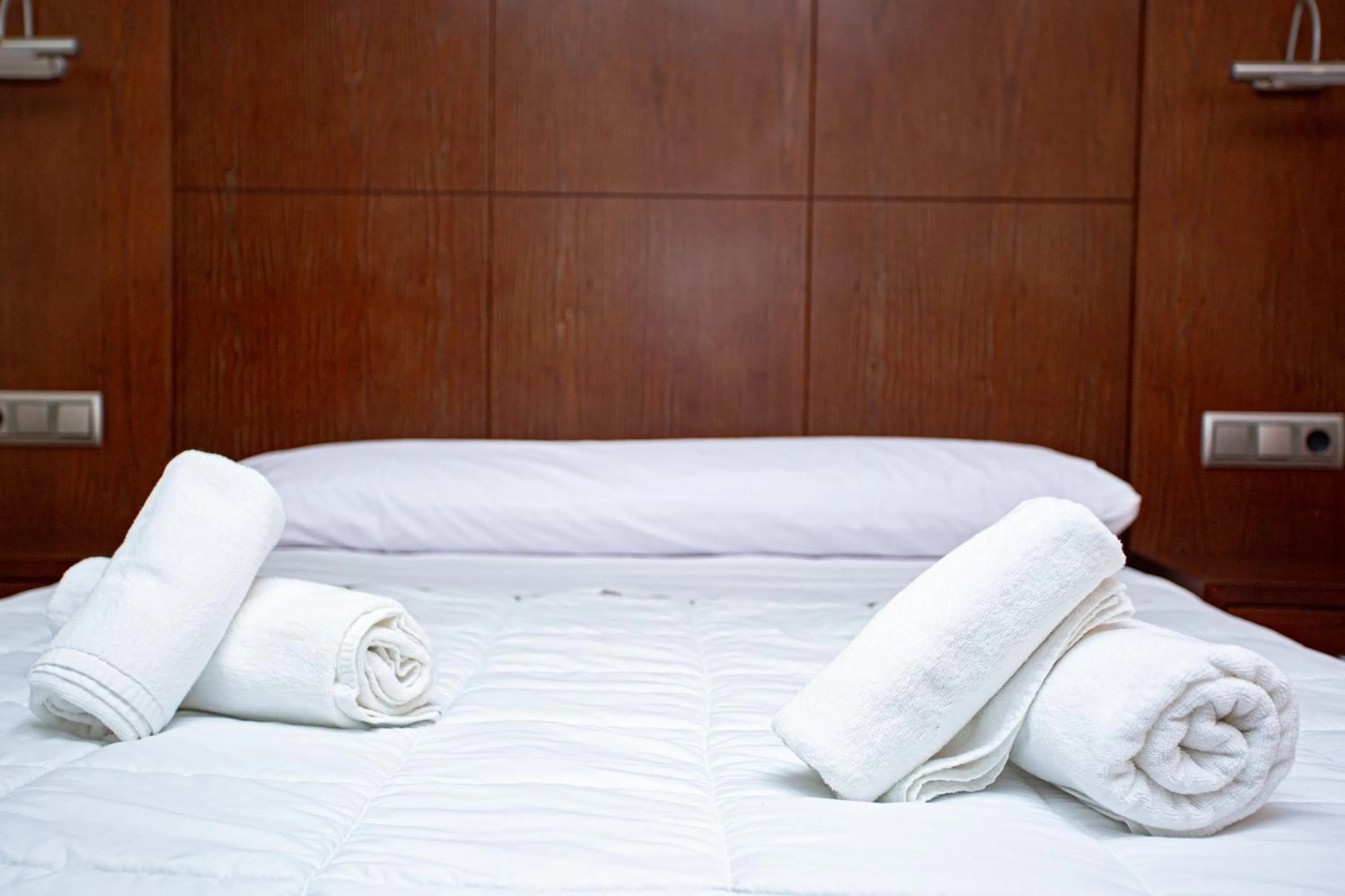 Bed in Hotel Villa De Cárcar