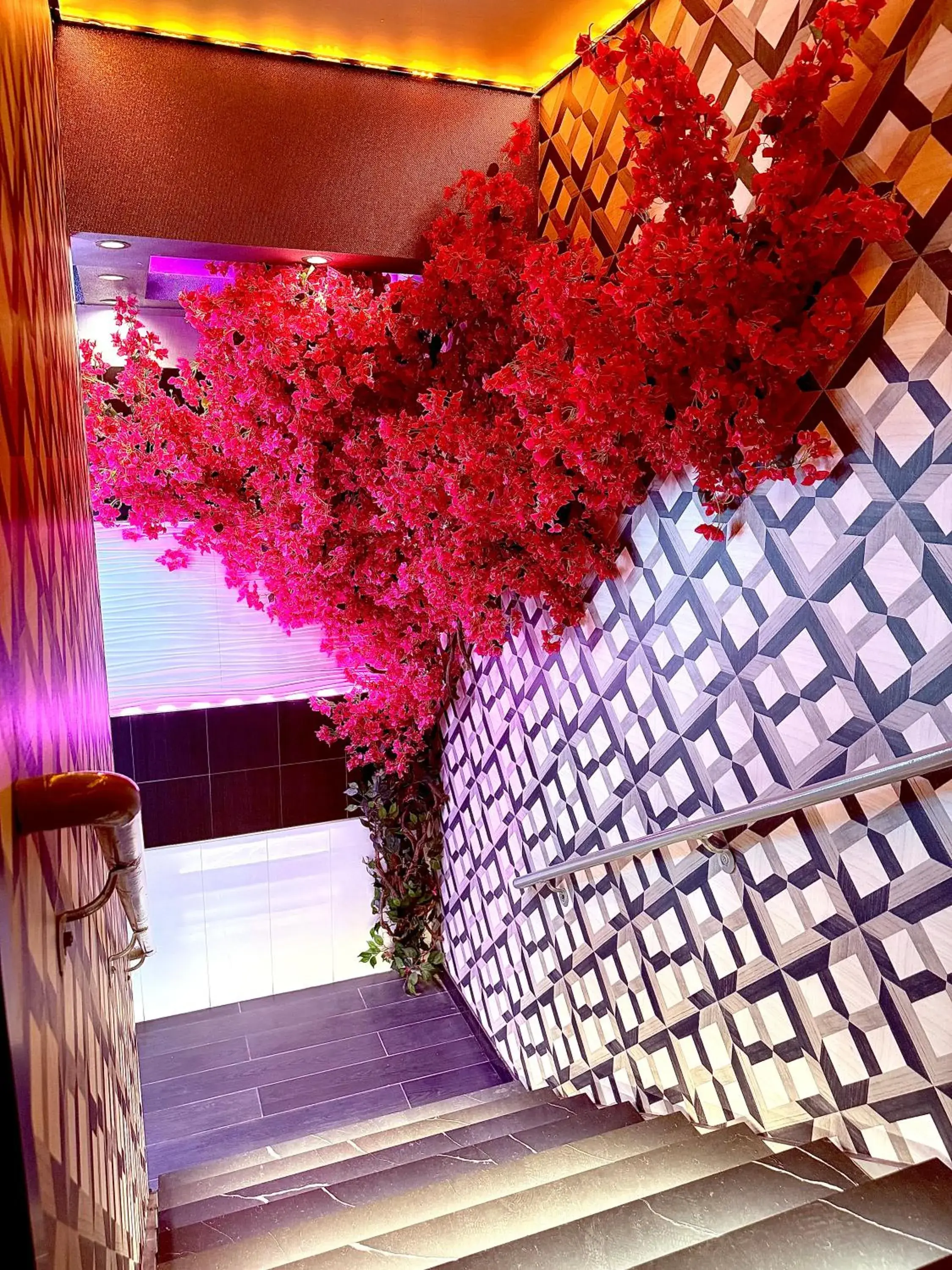 Facade/entrance in Umbrella Hotel Bronx Facade/entrance in Umbrella Hotel Bronx