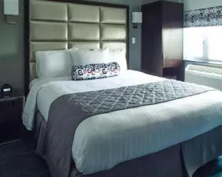 Bed in Umbrella Hotel Bronx