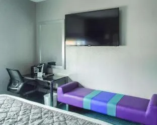 Umbrella Hotel Bronx