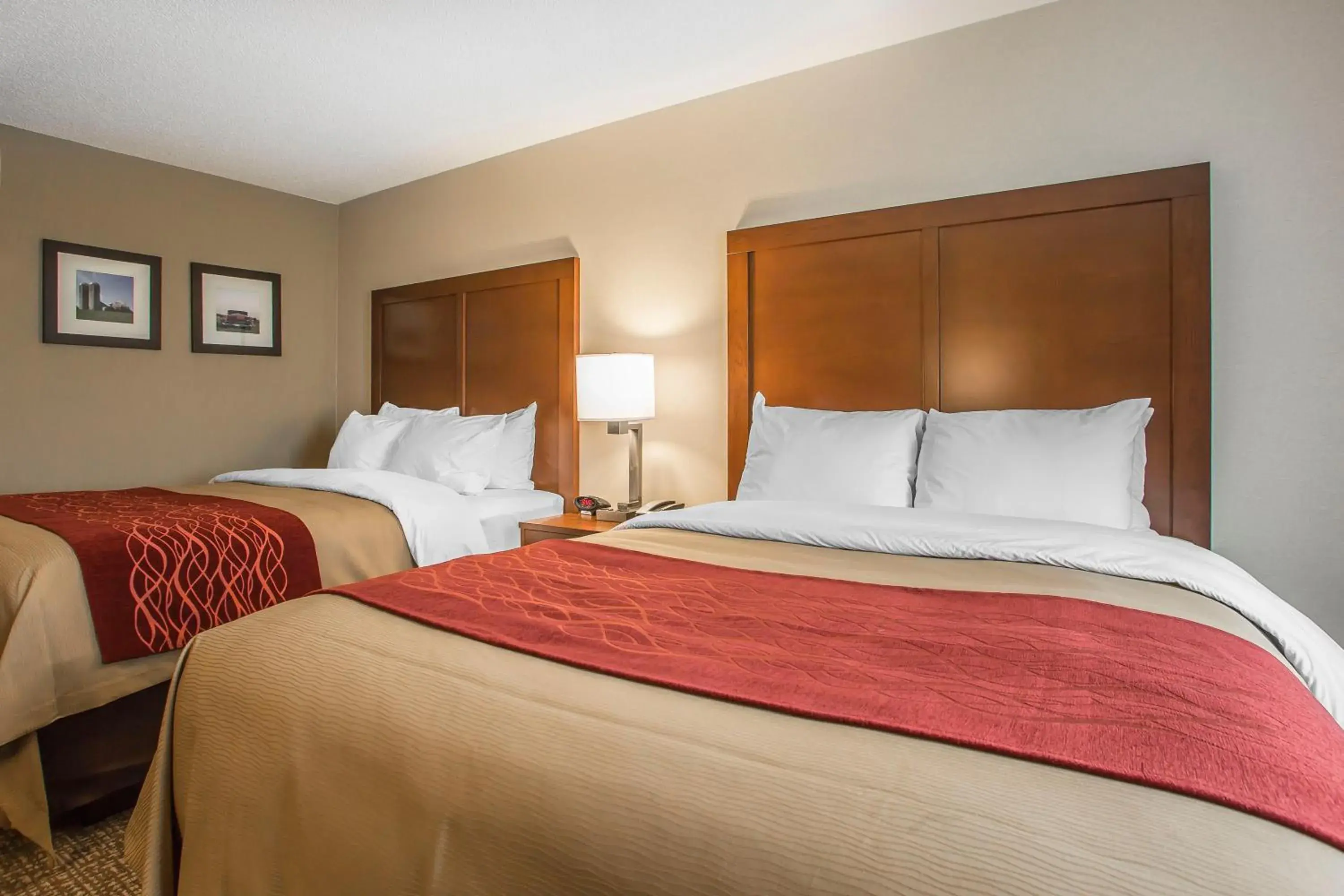 Bed in Comfort Inn PA Turnpike - I-81 Bed in Comfort Inn PA Turnpike - I-81