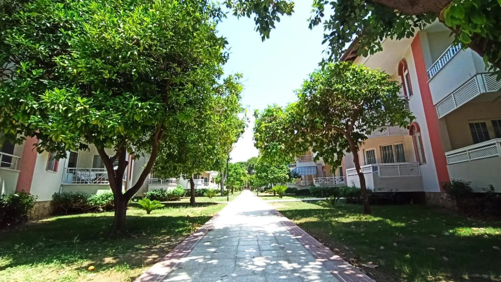 Garden view in Sırma Hotel - All Inclusive