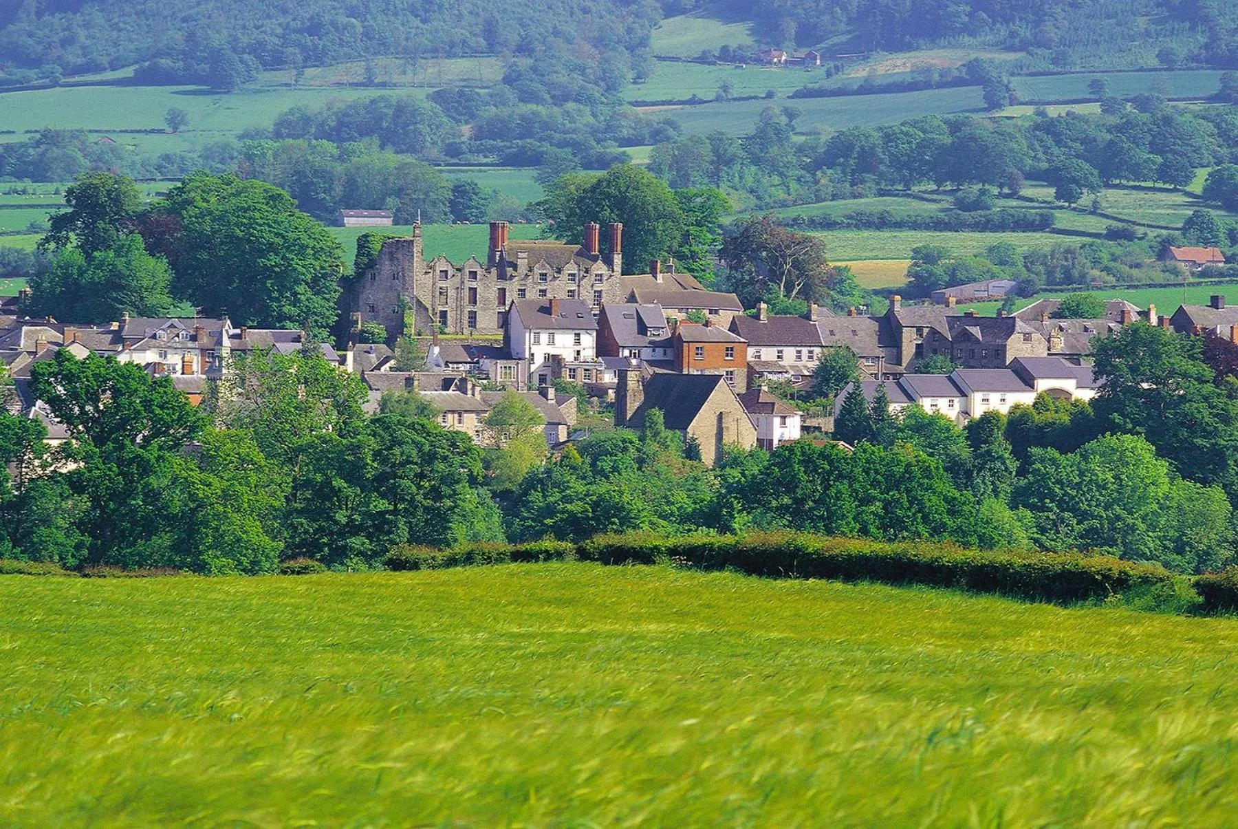 Area and facilities in Sound of the River