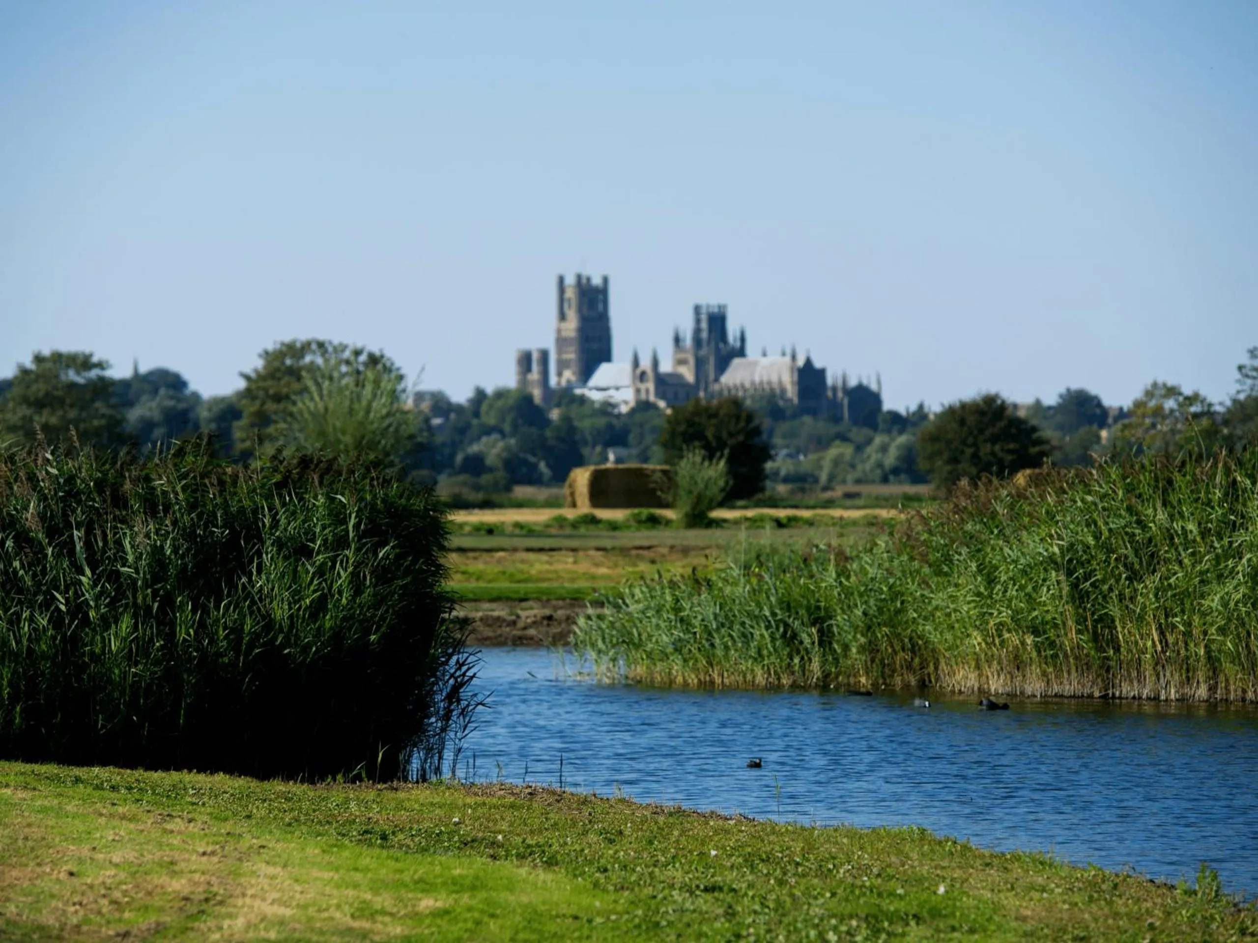 View (from property/room) in The Old Hall Ely