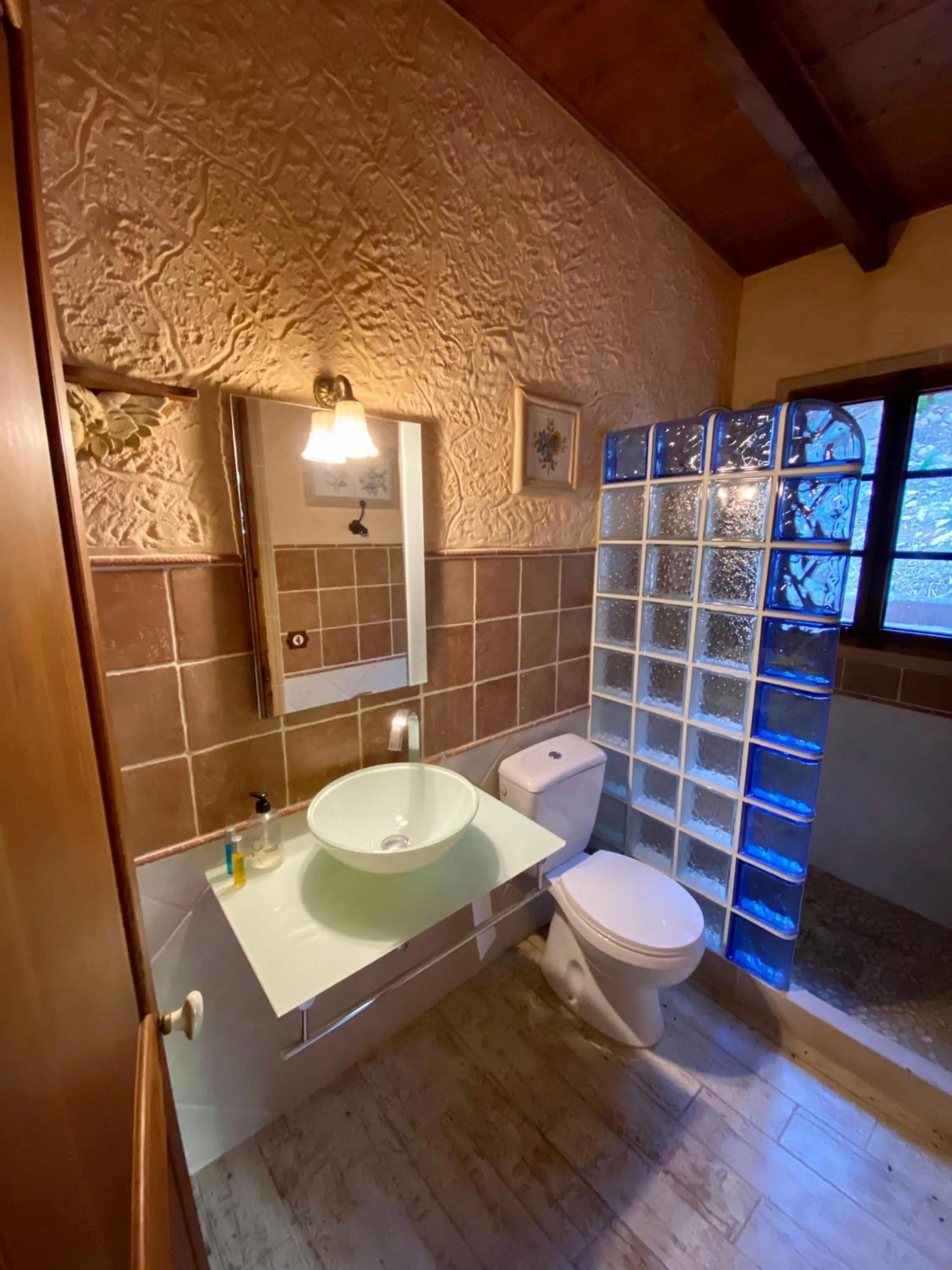 Shower in Finca Ses Fontanelles