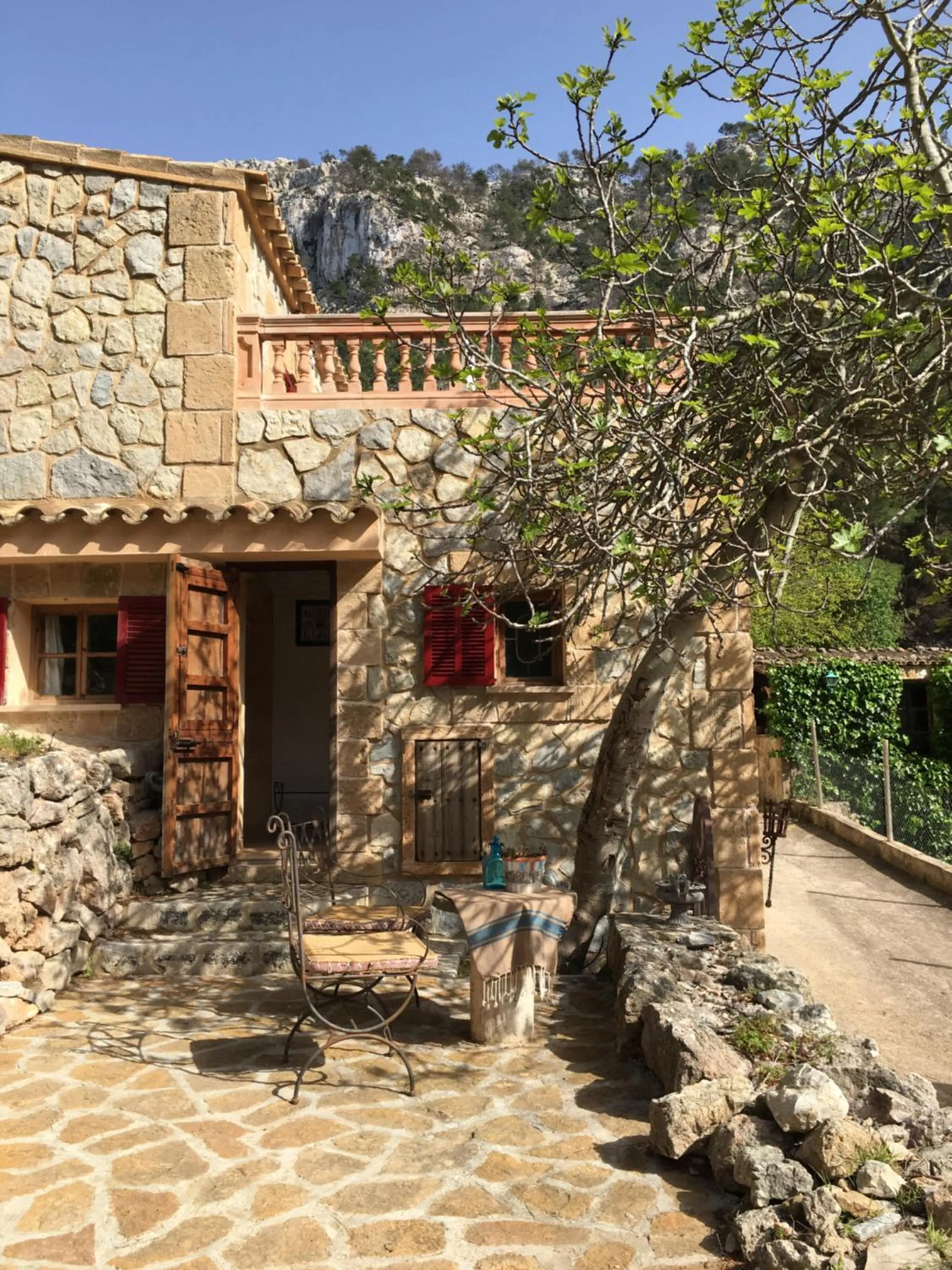 Garden in Finca Ses Fontanelles