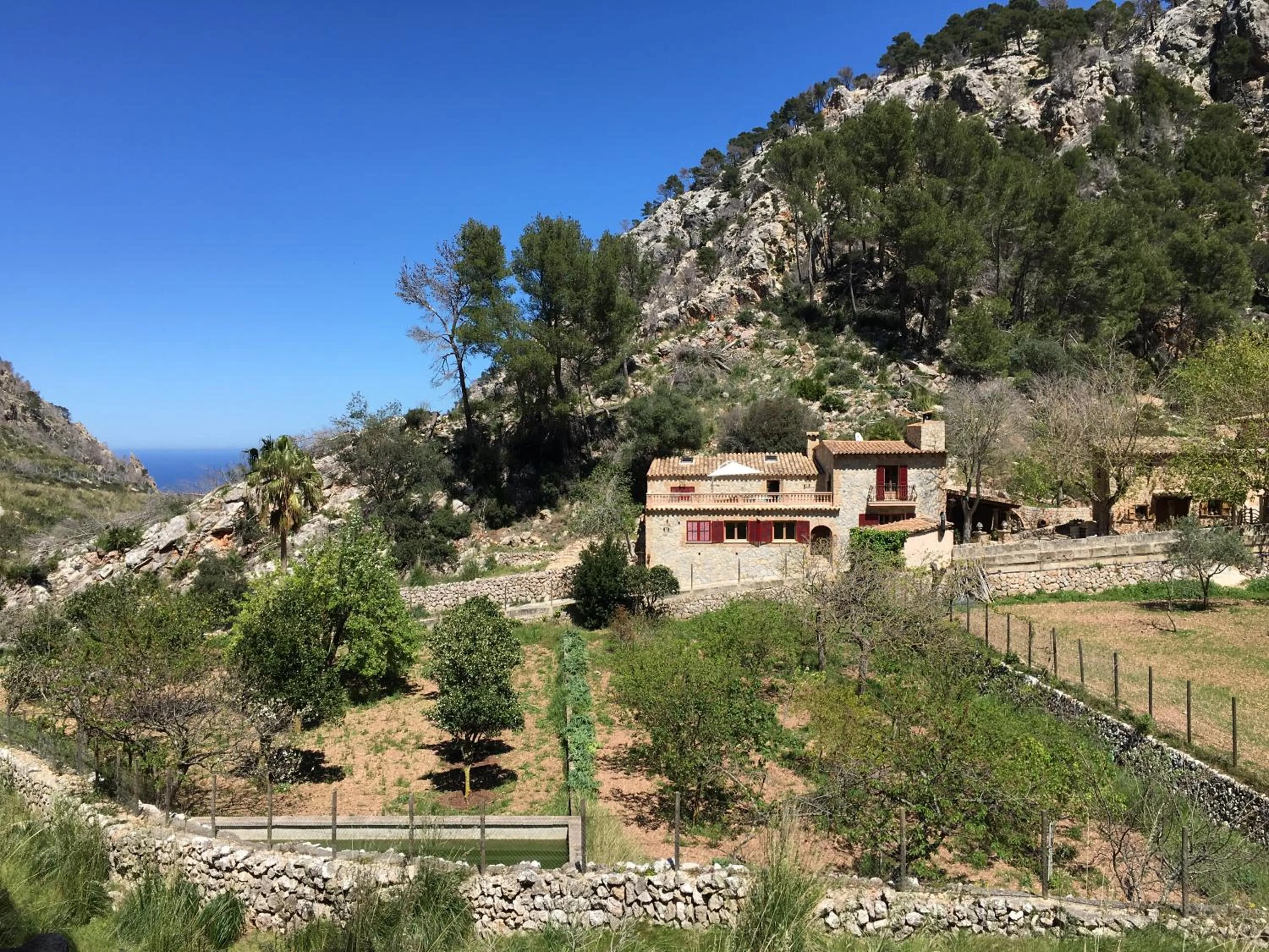 Garden in Finca Ses Fontanelles