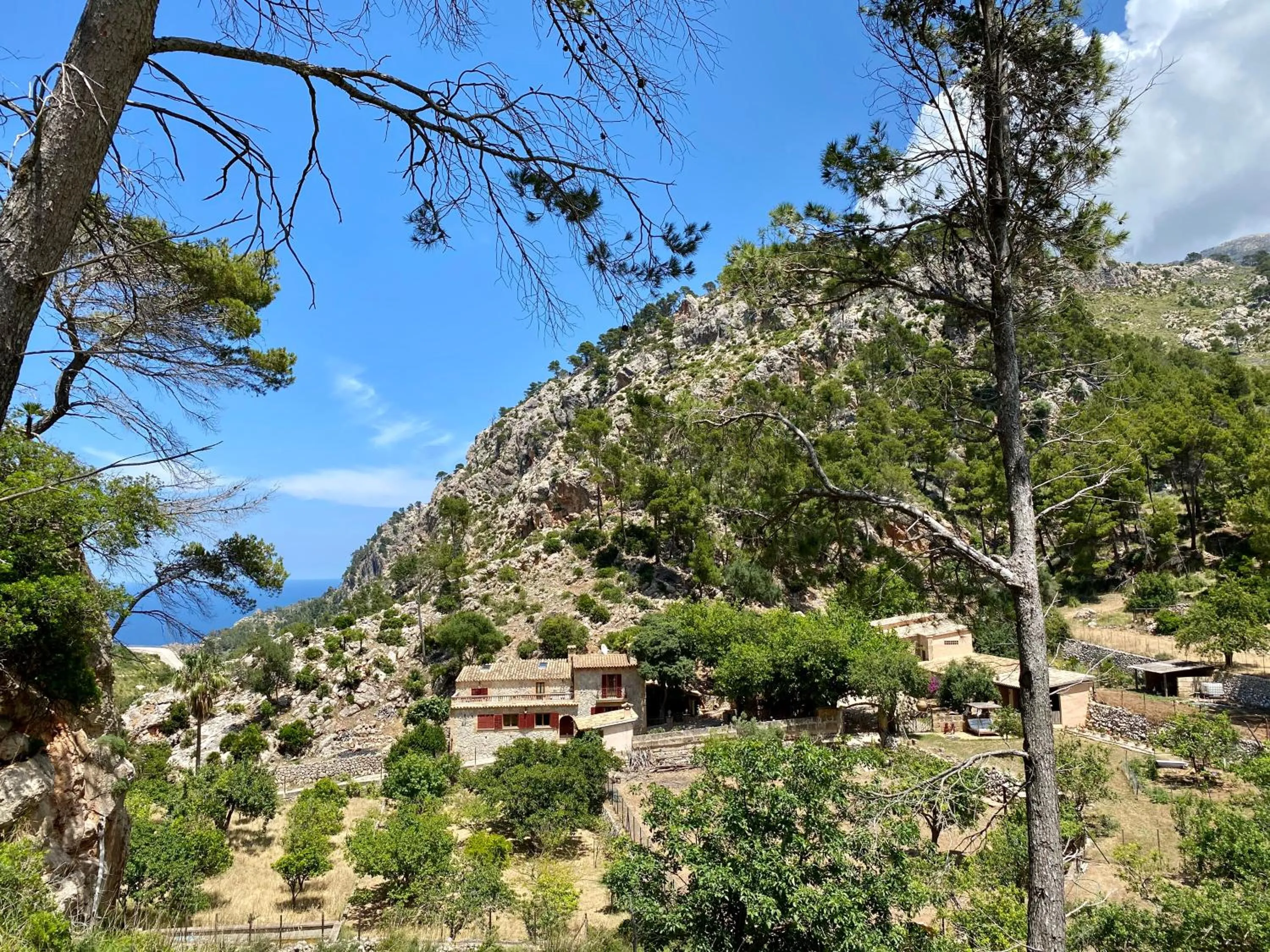 Bird's eye view in Finca Ses Fontanelles