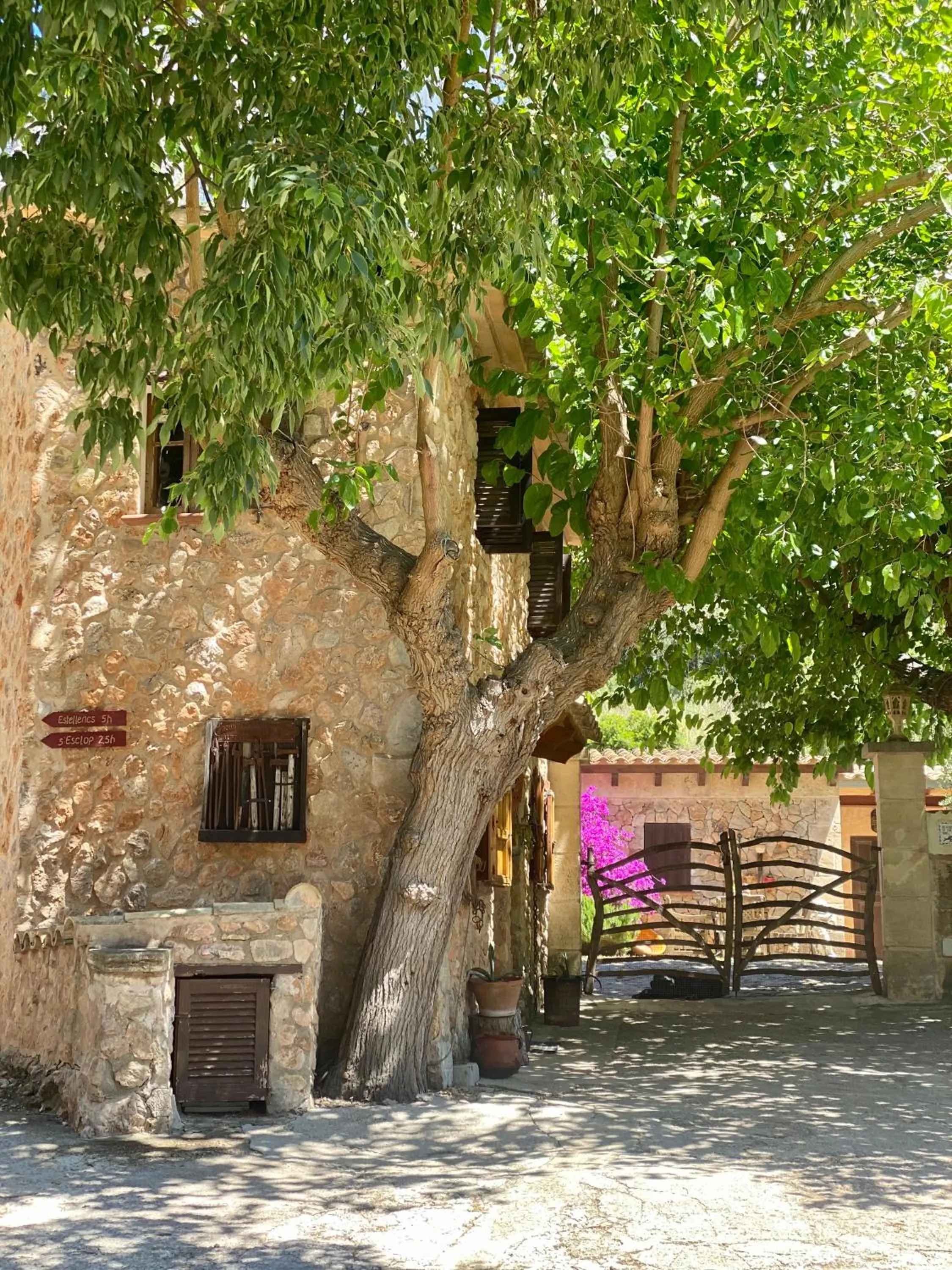 Patio in Finca Ses Fontanelles