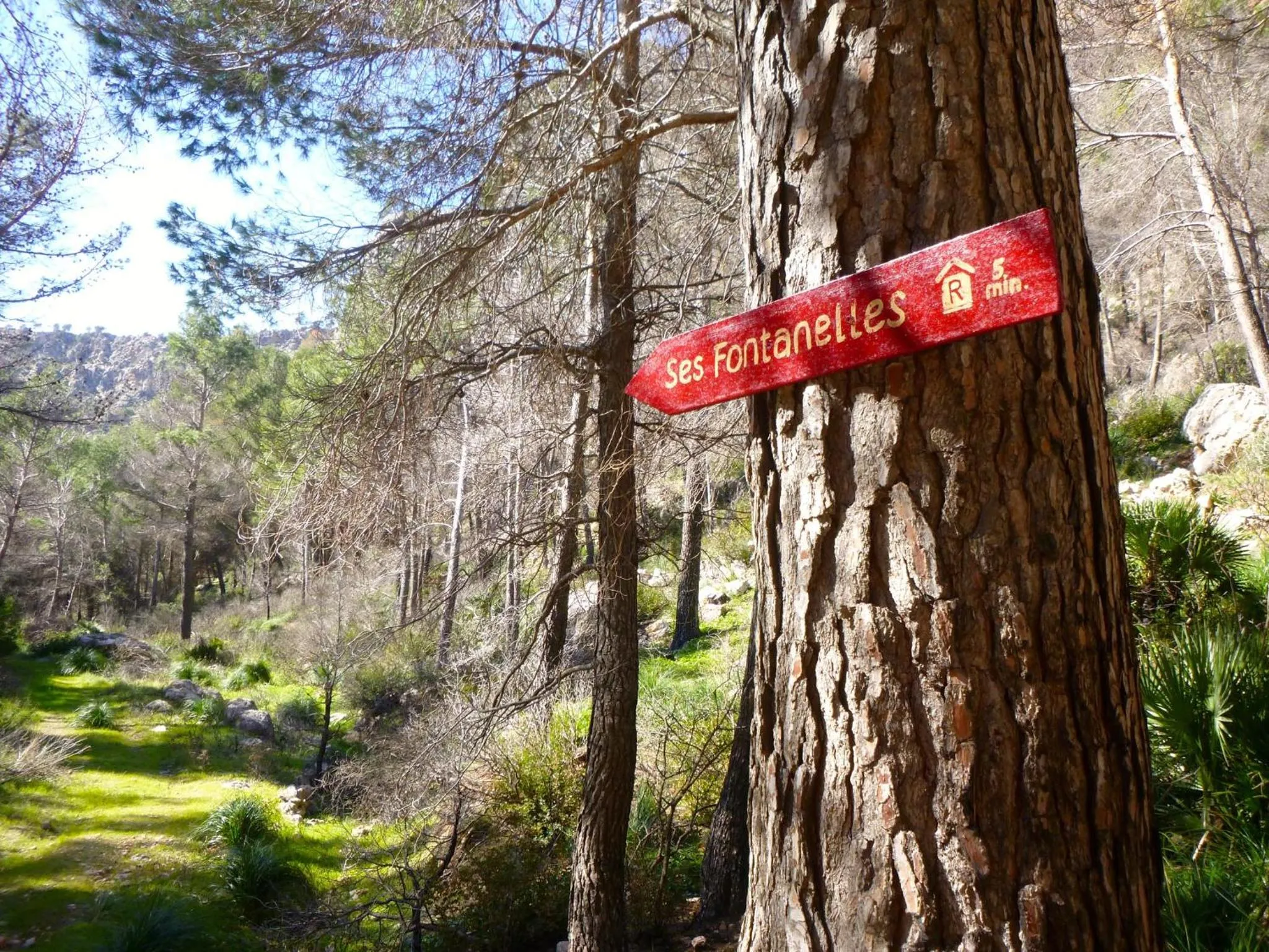 Hiking in Finca Ses Fontanelles