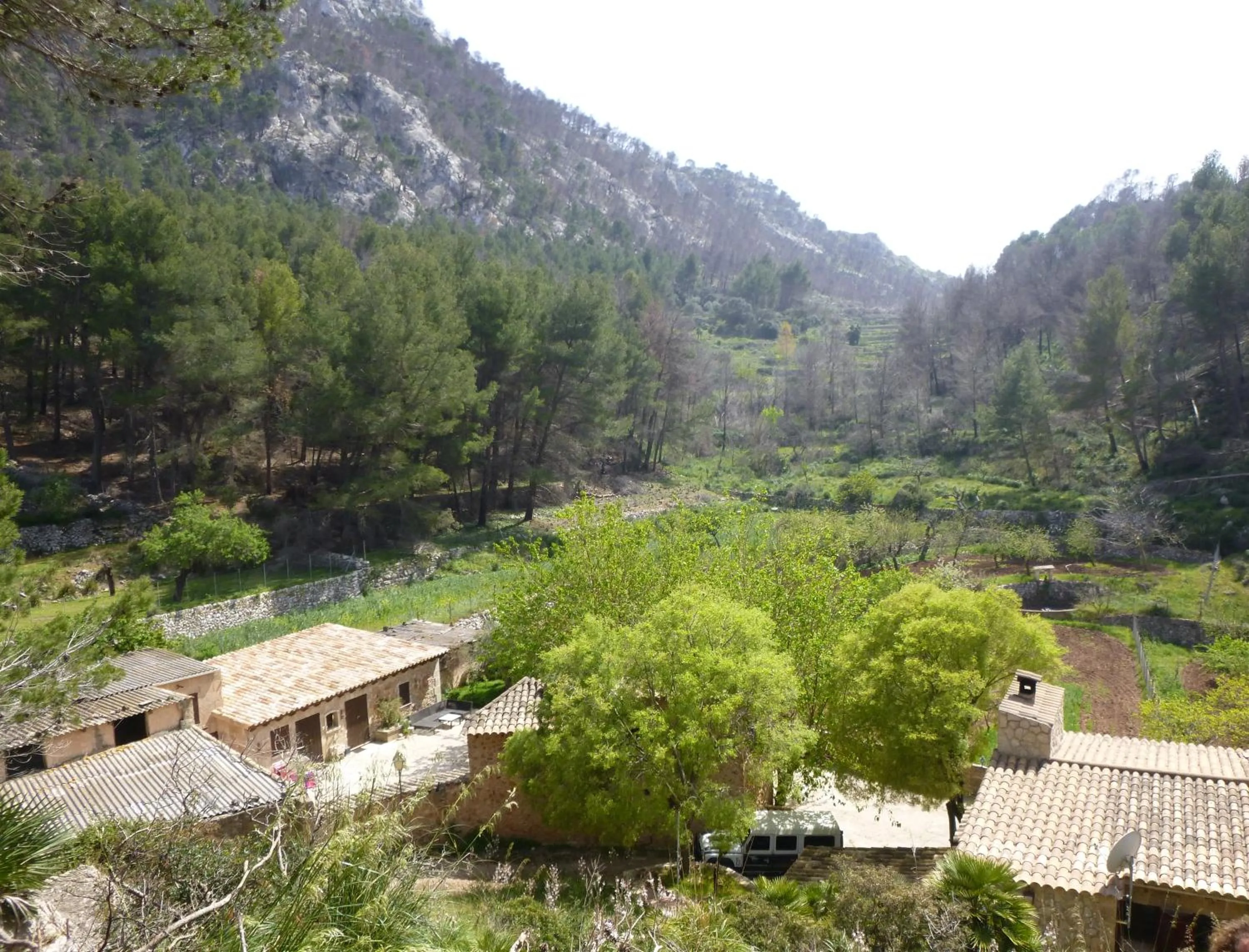 Property building in Finca Ses Fontanelles