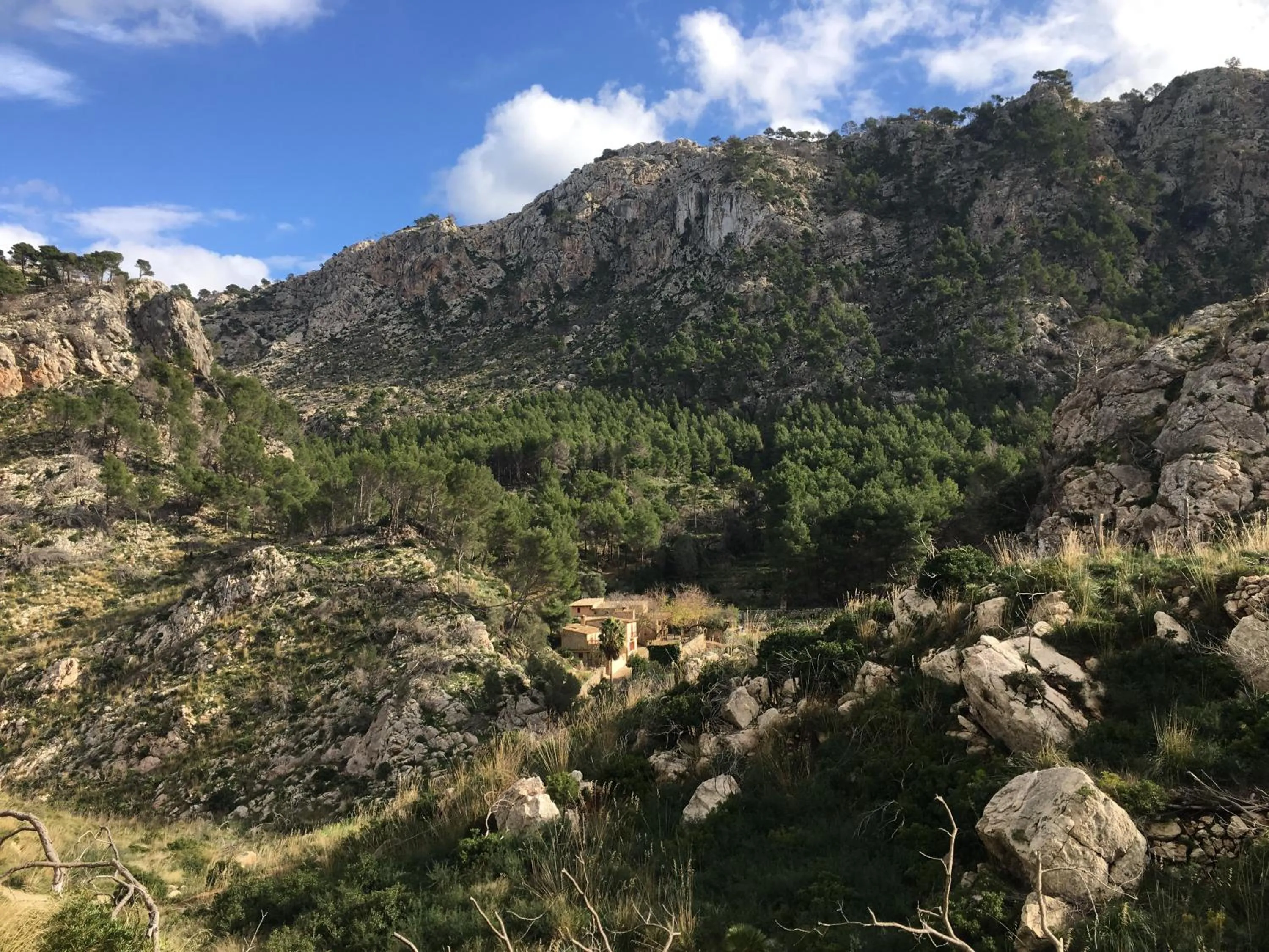 Bird's eye view in Finca Ses Fontanelles