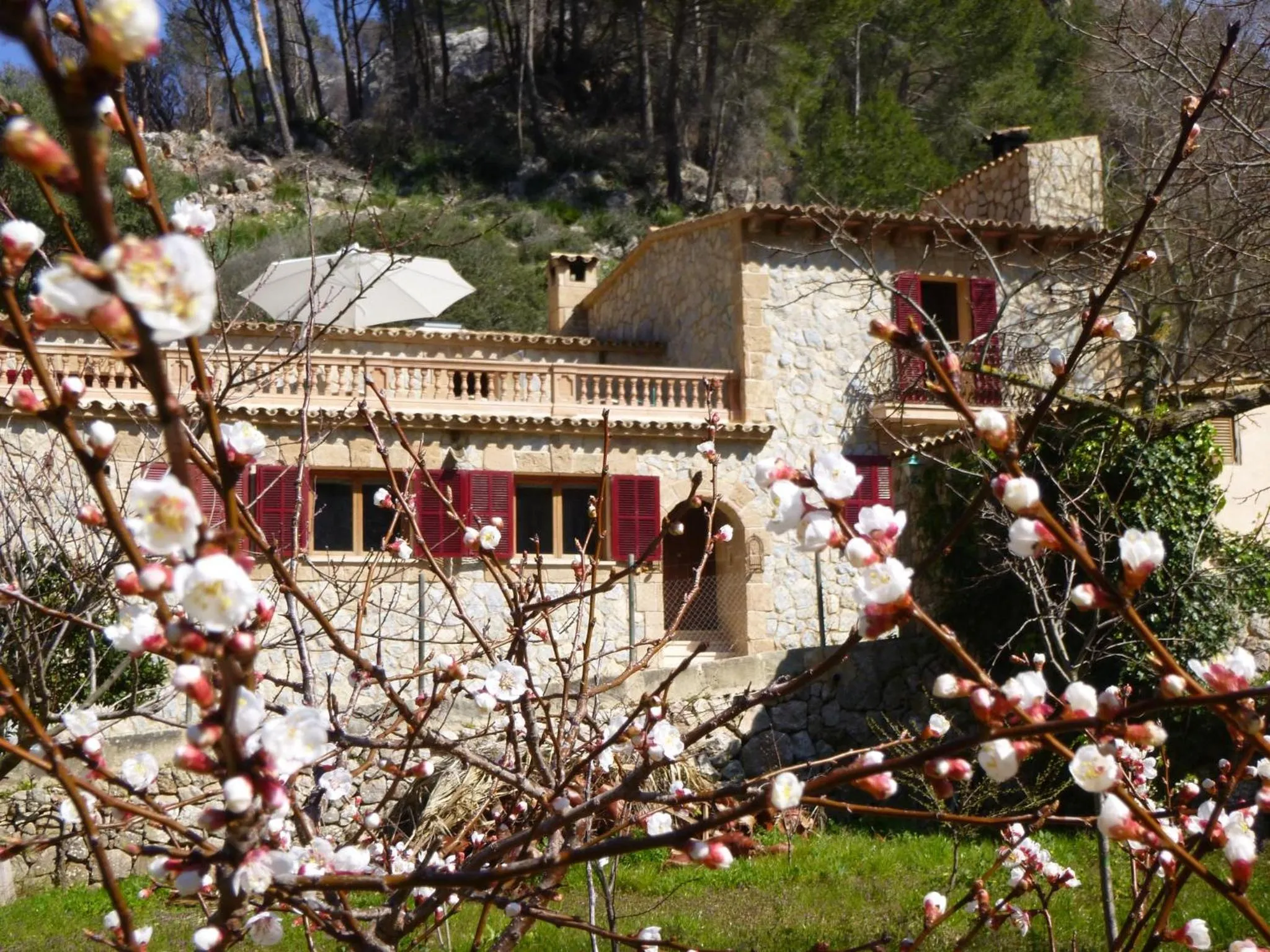 Property building in Finca Ses Fontanelles