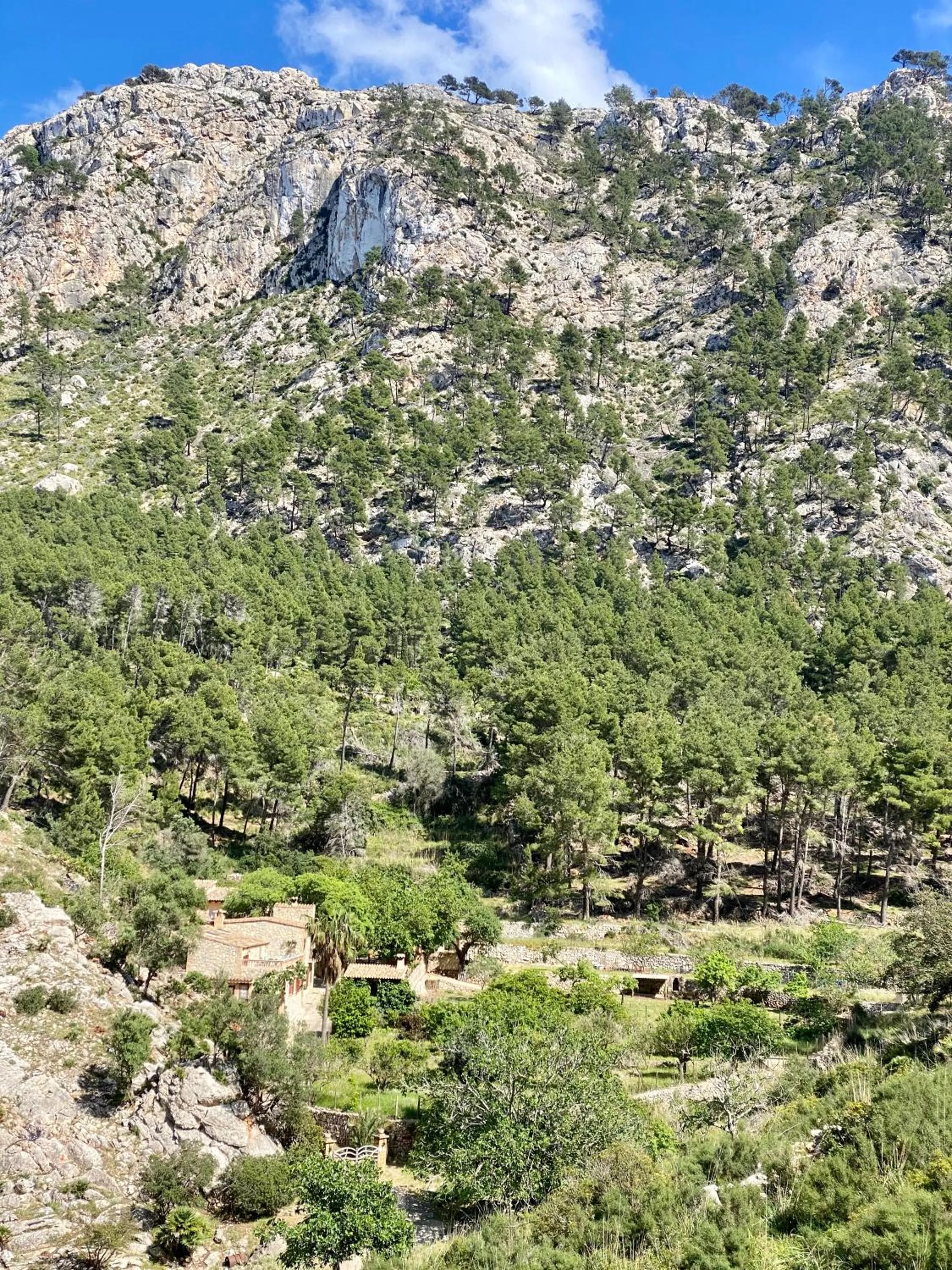 Natural landscape in Finca Ses Fontanelles