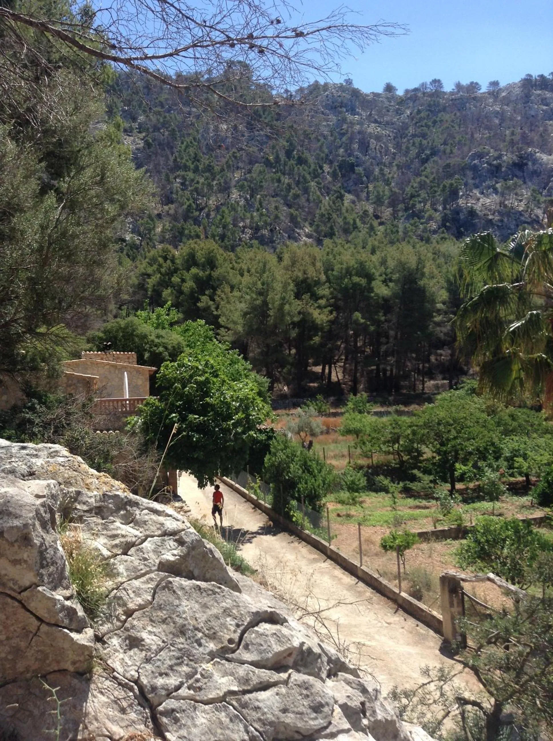 Garden in Finca Ses Fontanelles