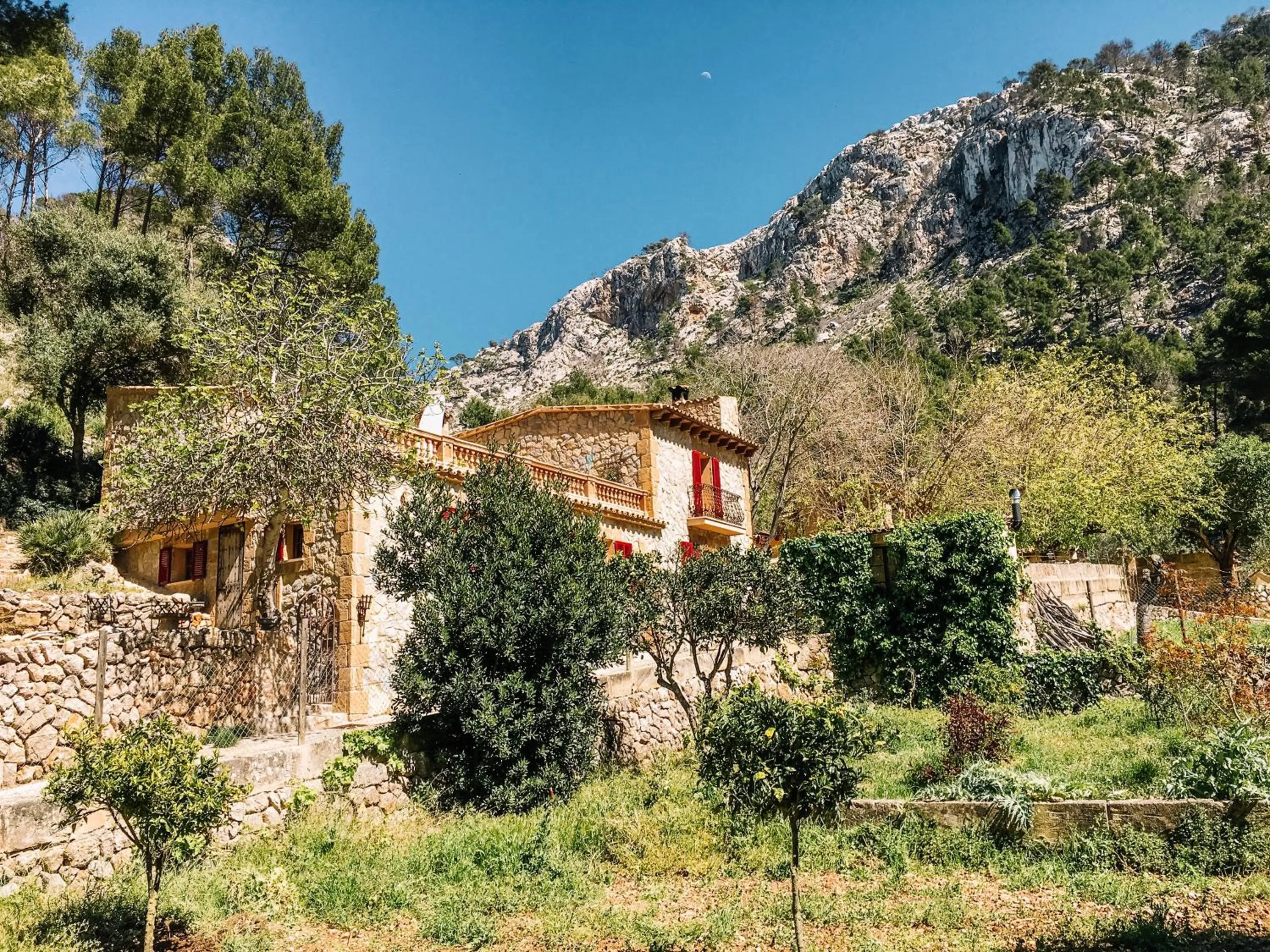 Property building in Finca Ses Fontanelles