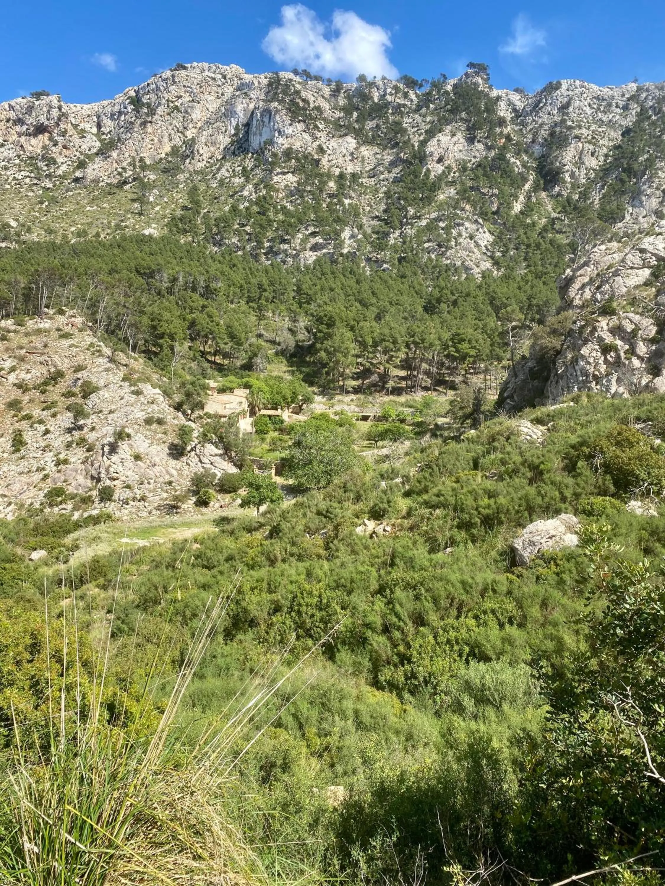Off site in Finca Ses Fontanelles