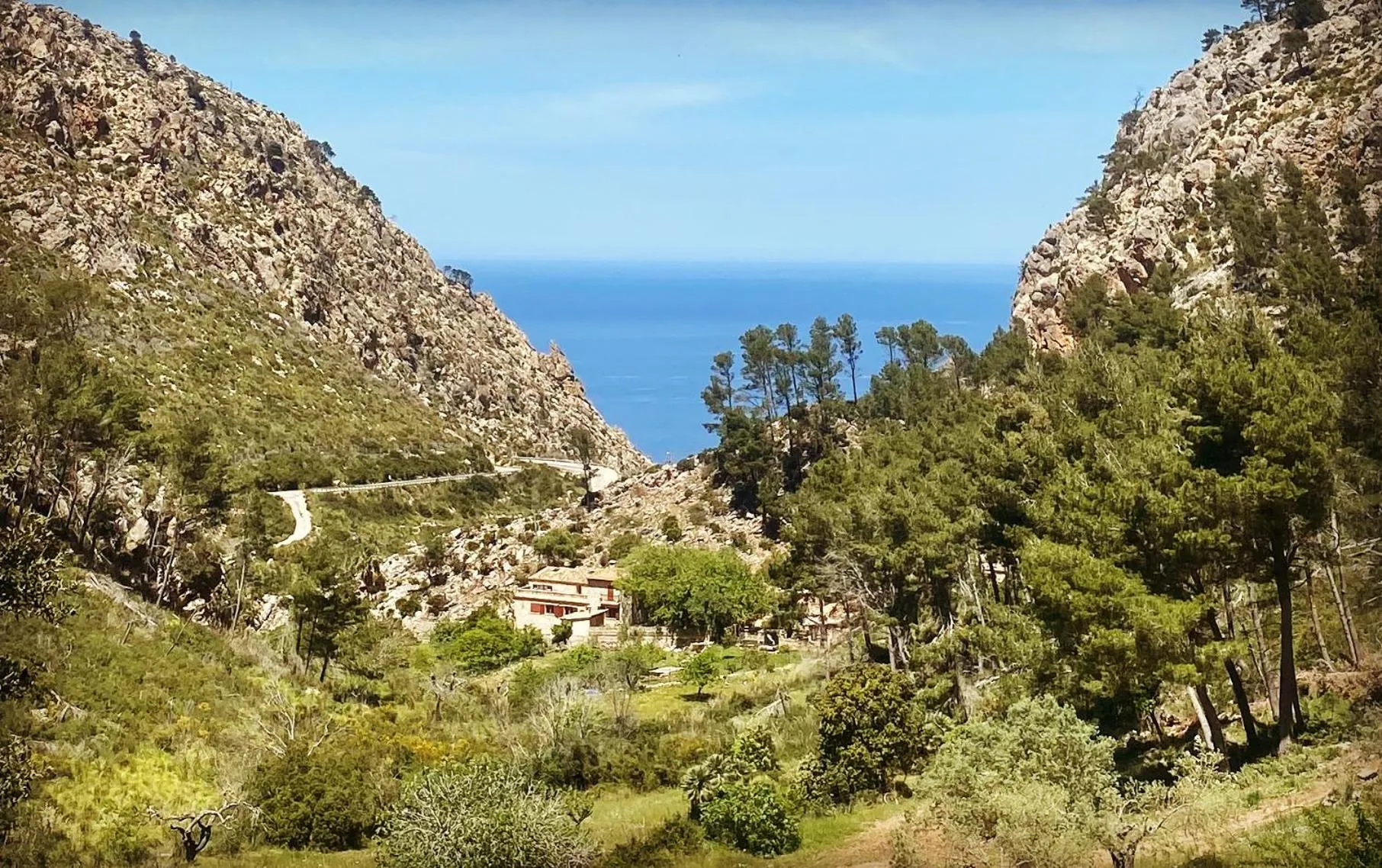 Bird's eye view in Finca Ses Fontanelles