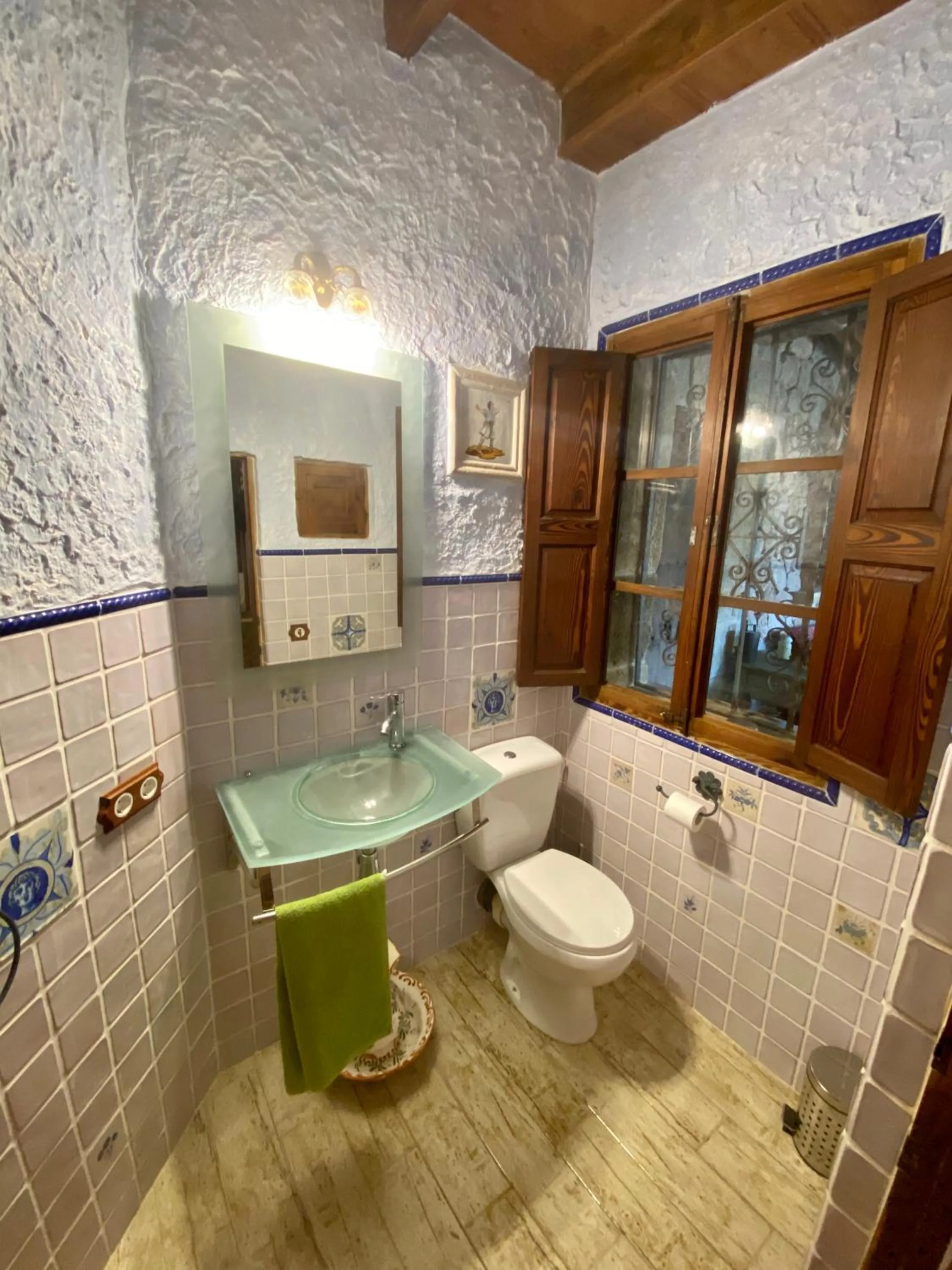 Toilet in Finca Ses Fontanelles