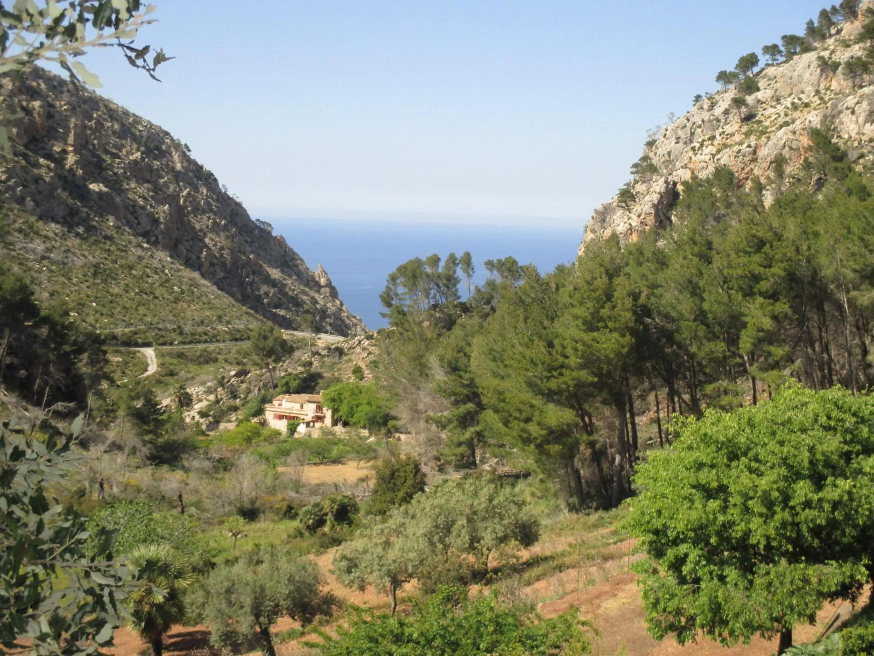 Garden in Finca Ses Fontanelles