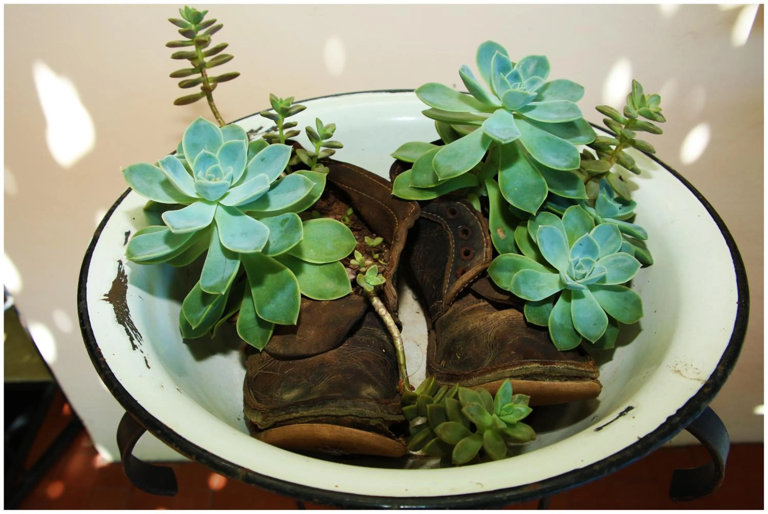 Patio in Rawsonville House