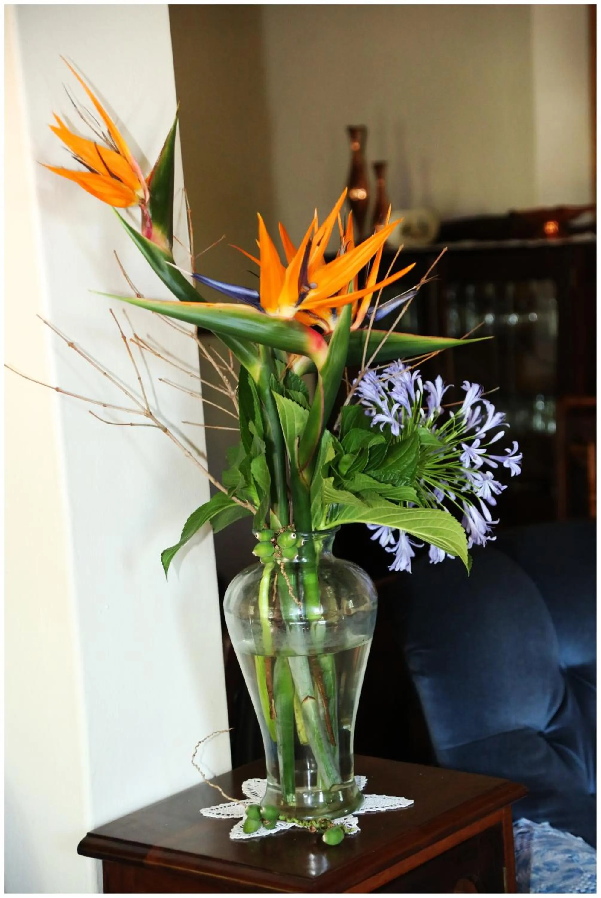 Summer in Rawsonville House