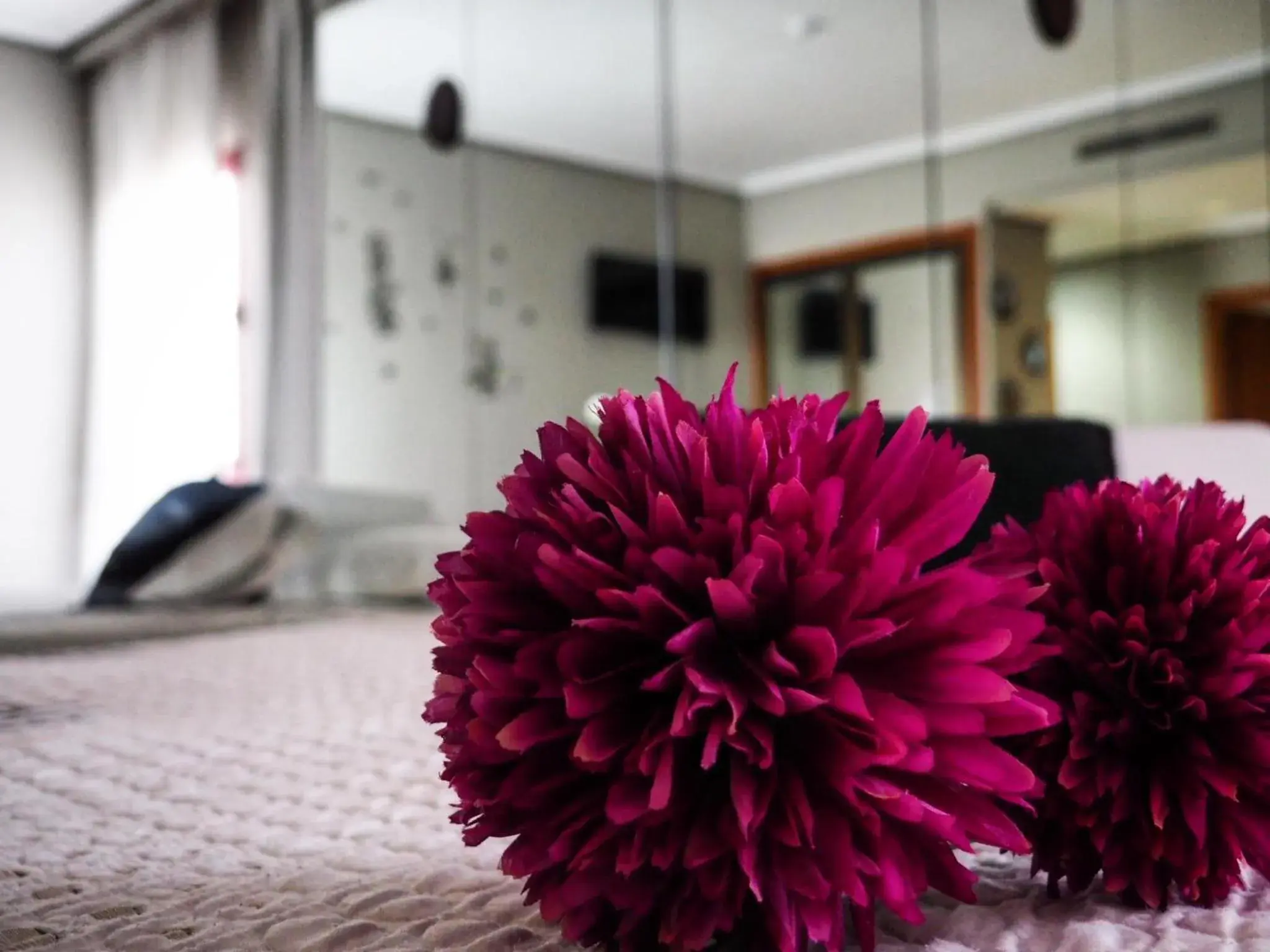 Photo of the whole room in Hotel Humanes Photo of the whole room in Hotel Humanes