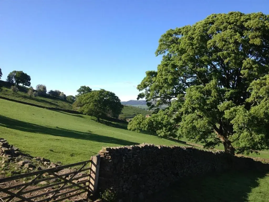 View (from property/room) in Throstle Nest Farm View (from property/room) in Throstle Nest Farm