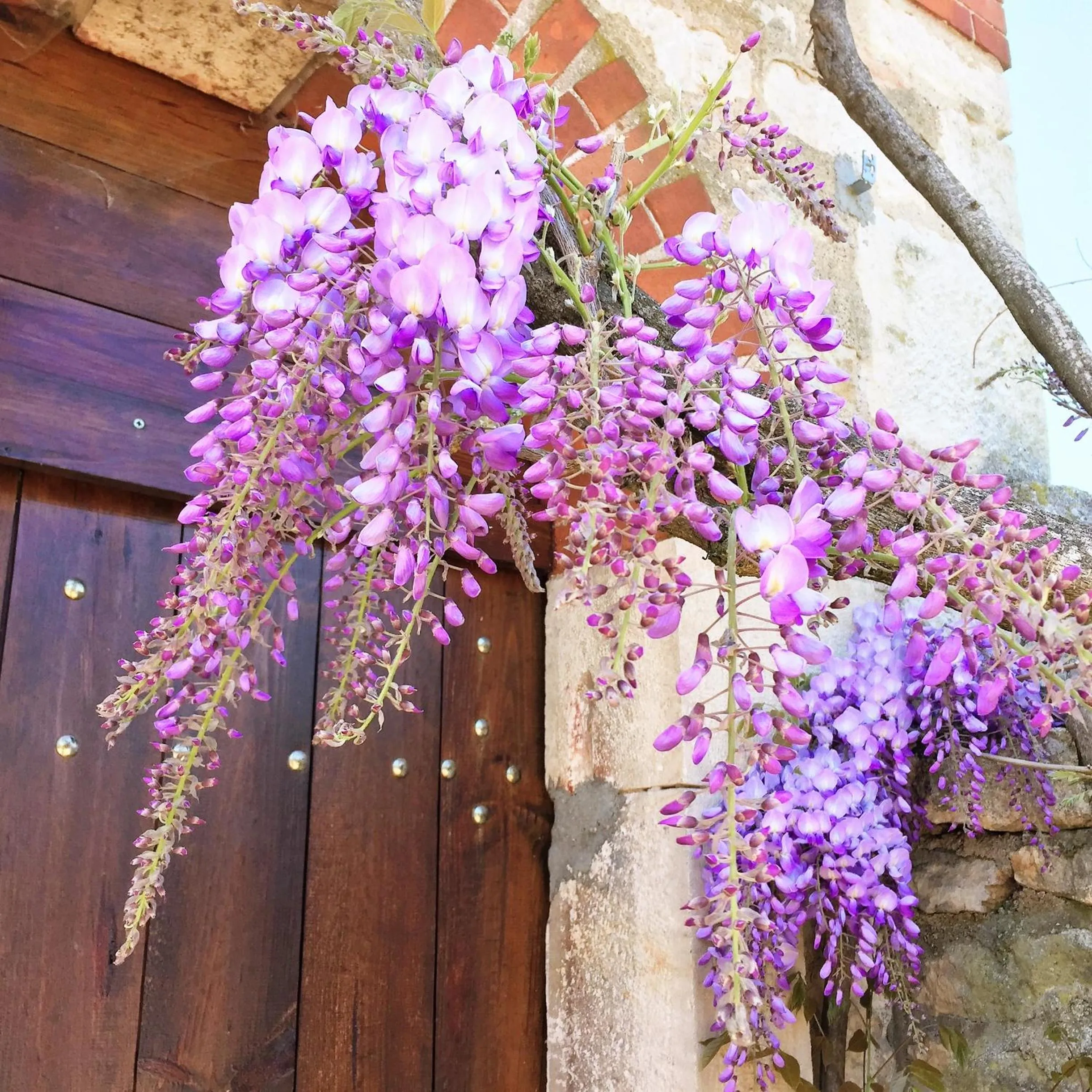 Decorative detail in Domaine Pont Juillet