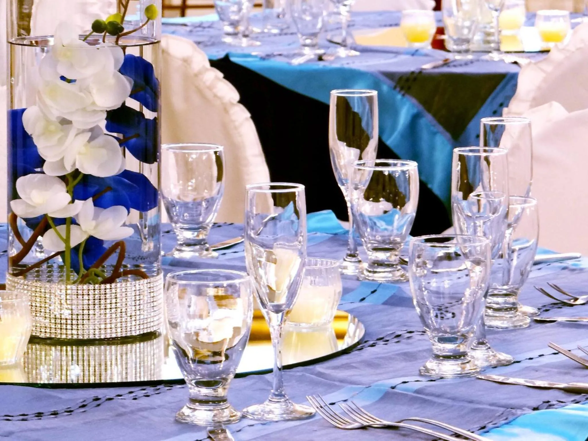 Area and facilities in Hotel Royal Palace