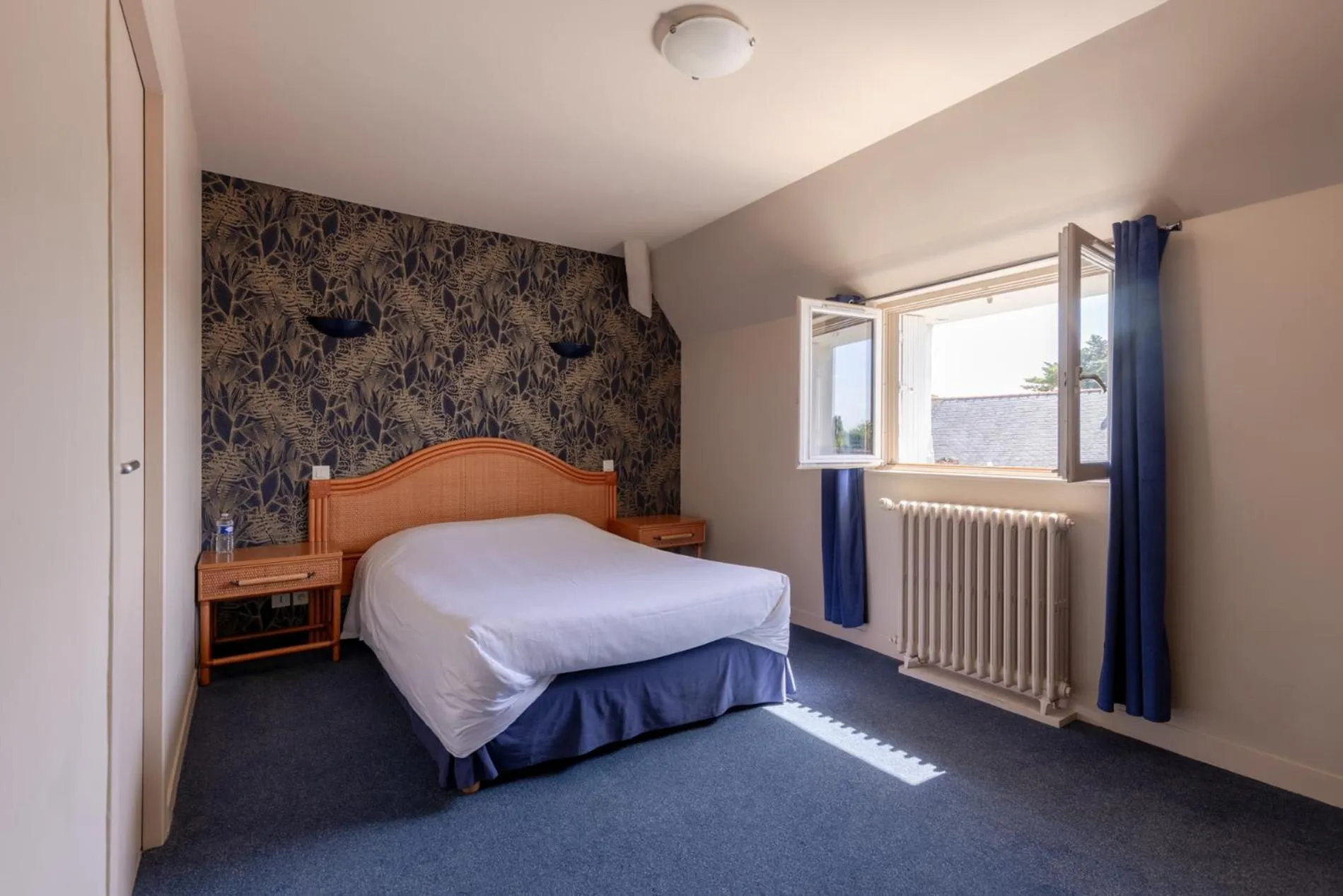 Double Room - single occupancy in Auberge de la Loire