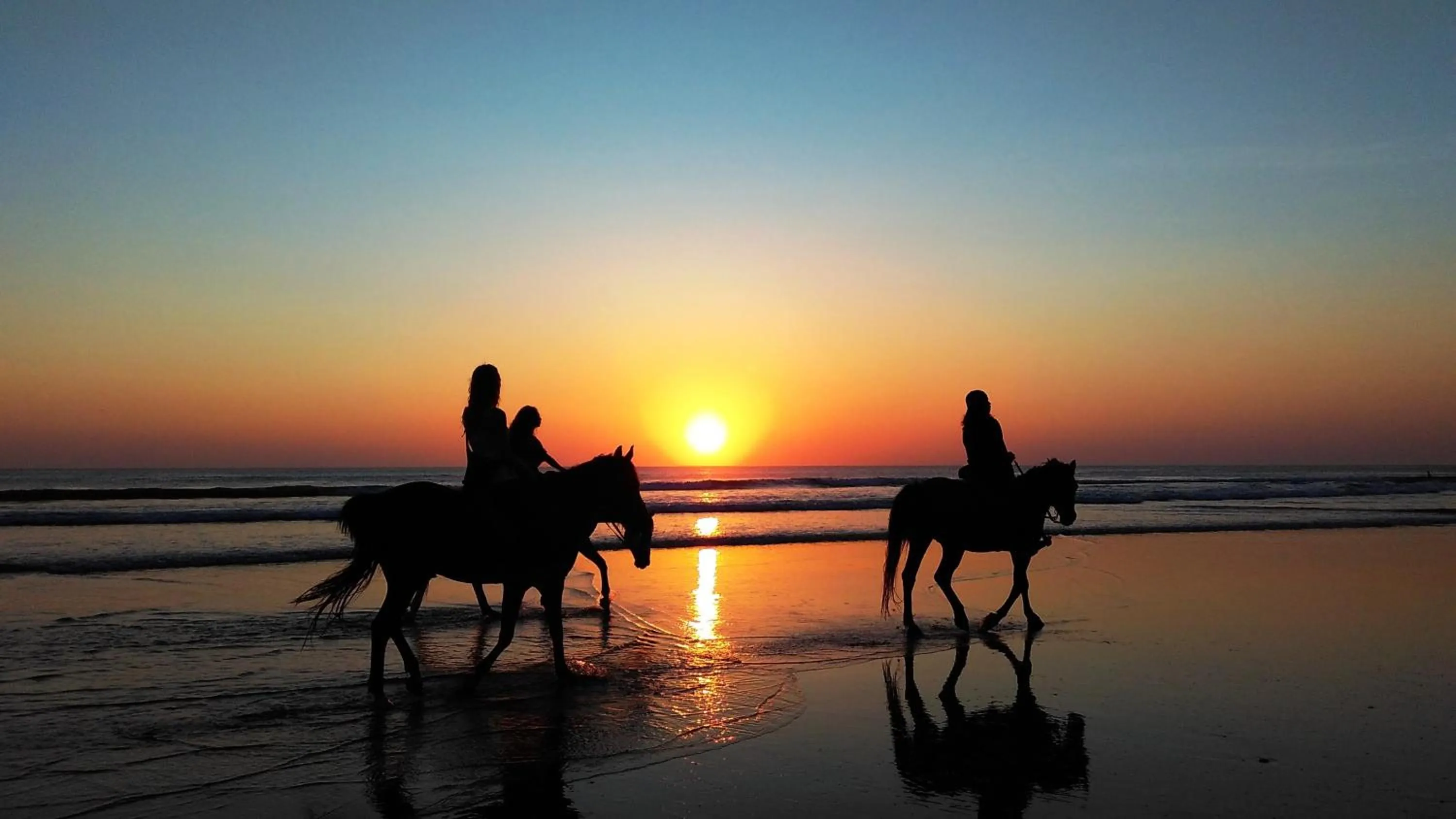 Horse-riding in Marbella Eco Lodge