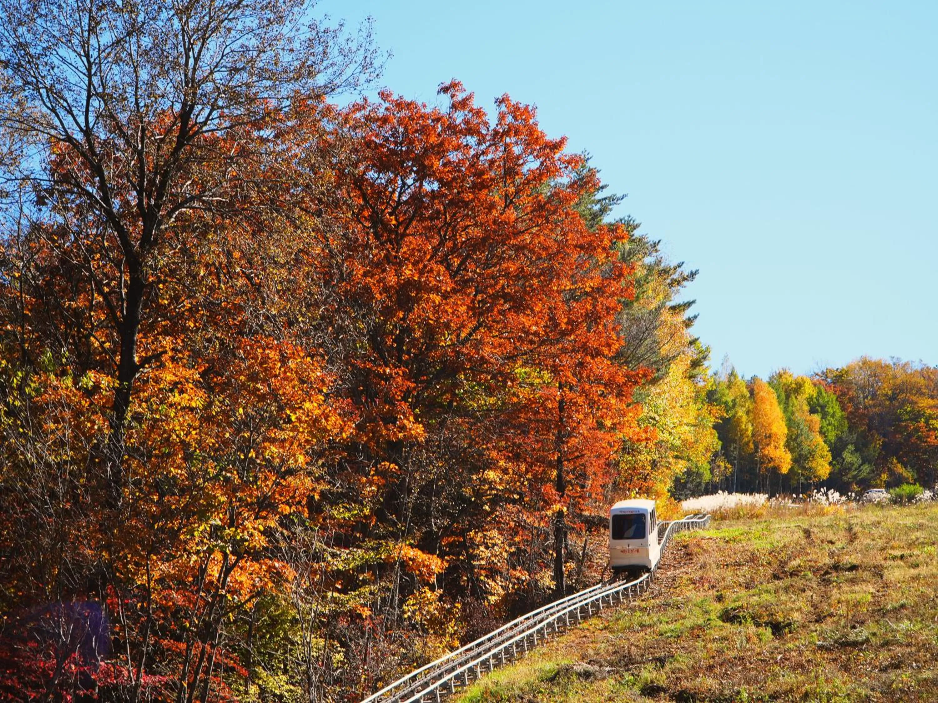 Nearby landmark in Mona Yongpyong