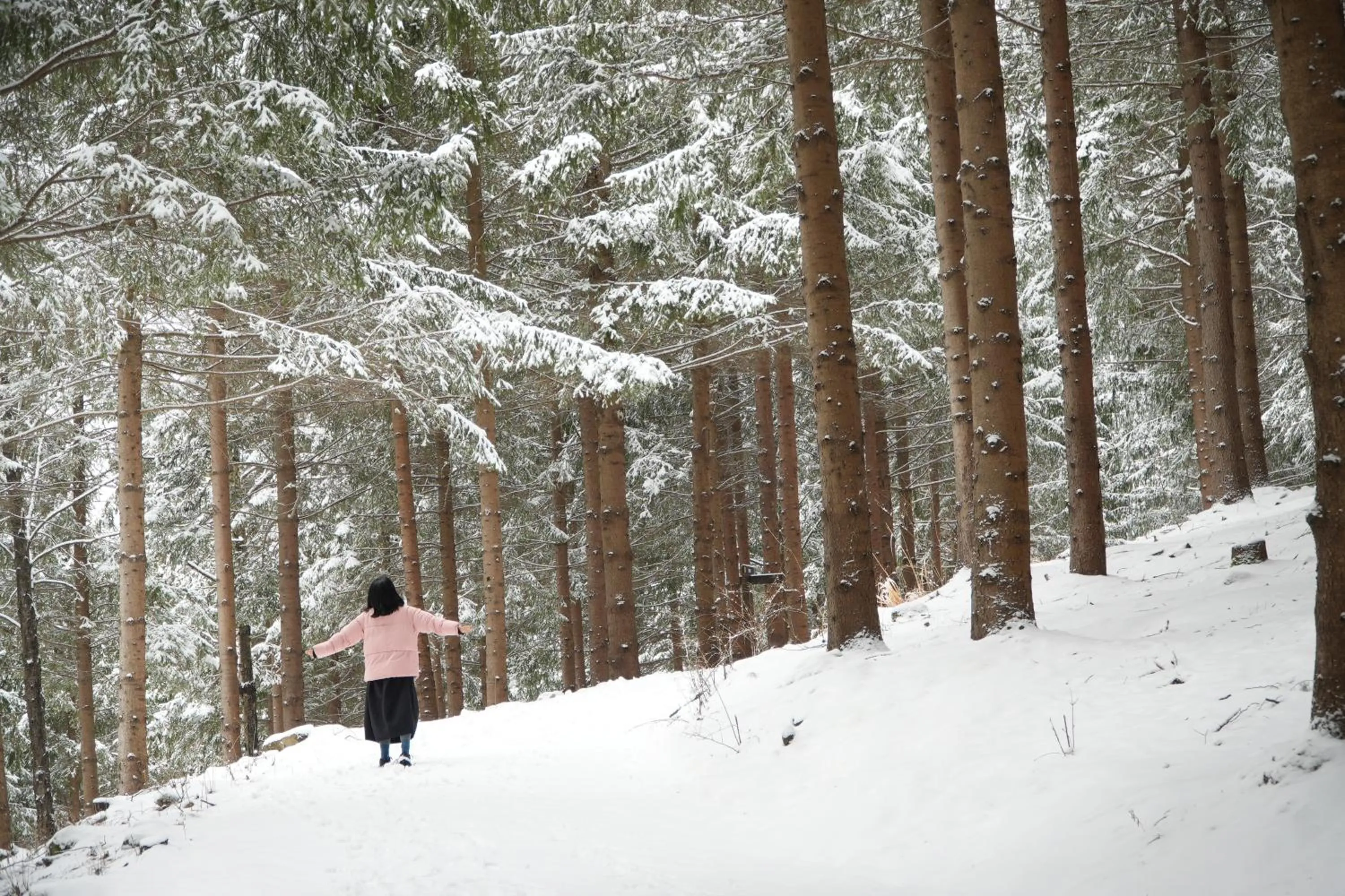 Nearby landmark in Mona Yongpyong