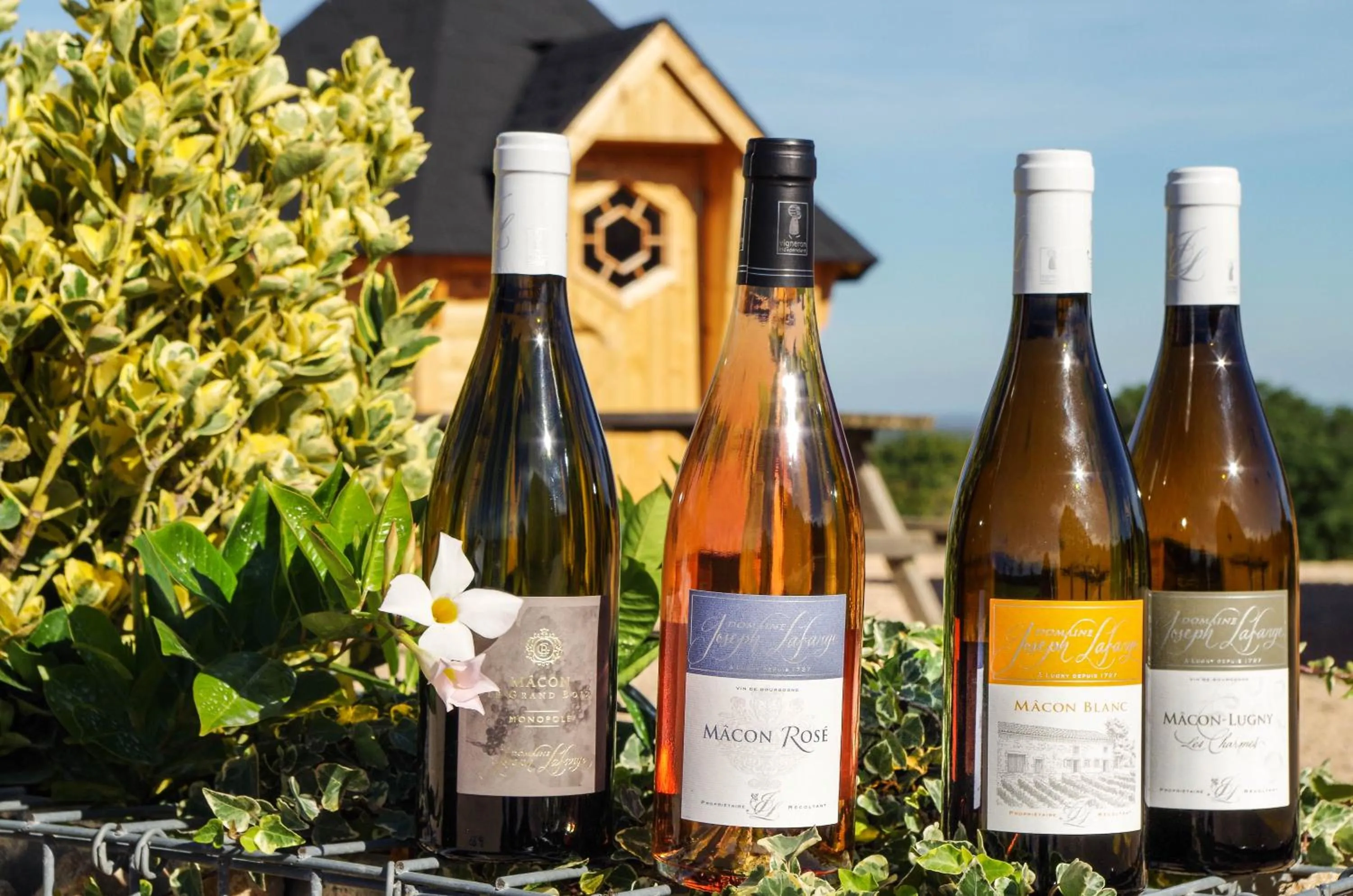 Meals in Domaine Joseph LAFARGE Wine Resort B&B