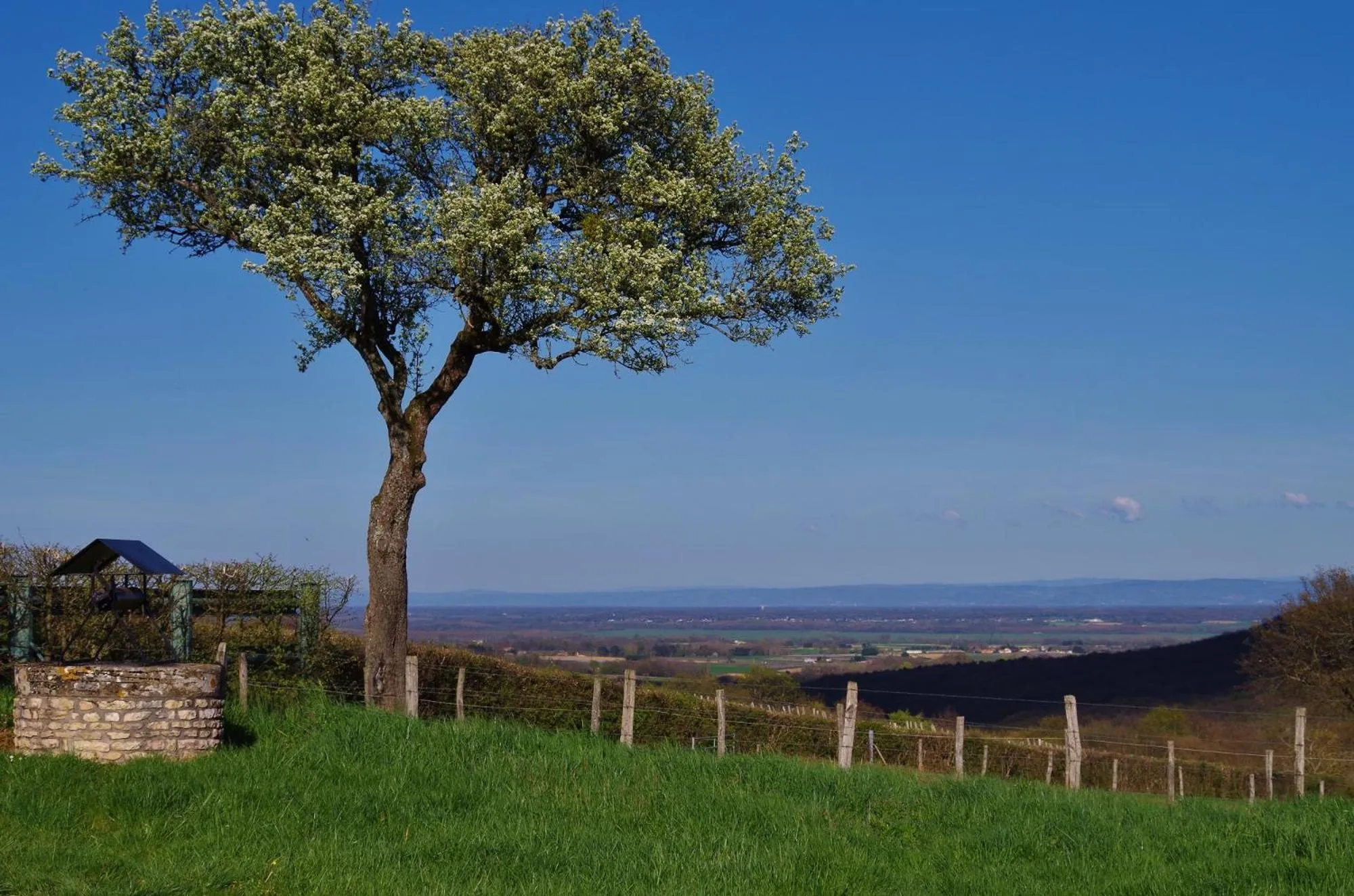 Bird's eye view in Domaine Joseph LAFARGE Wine Resort B&B
