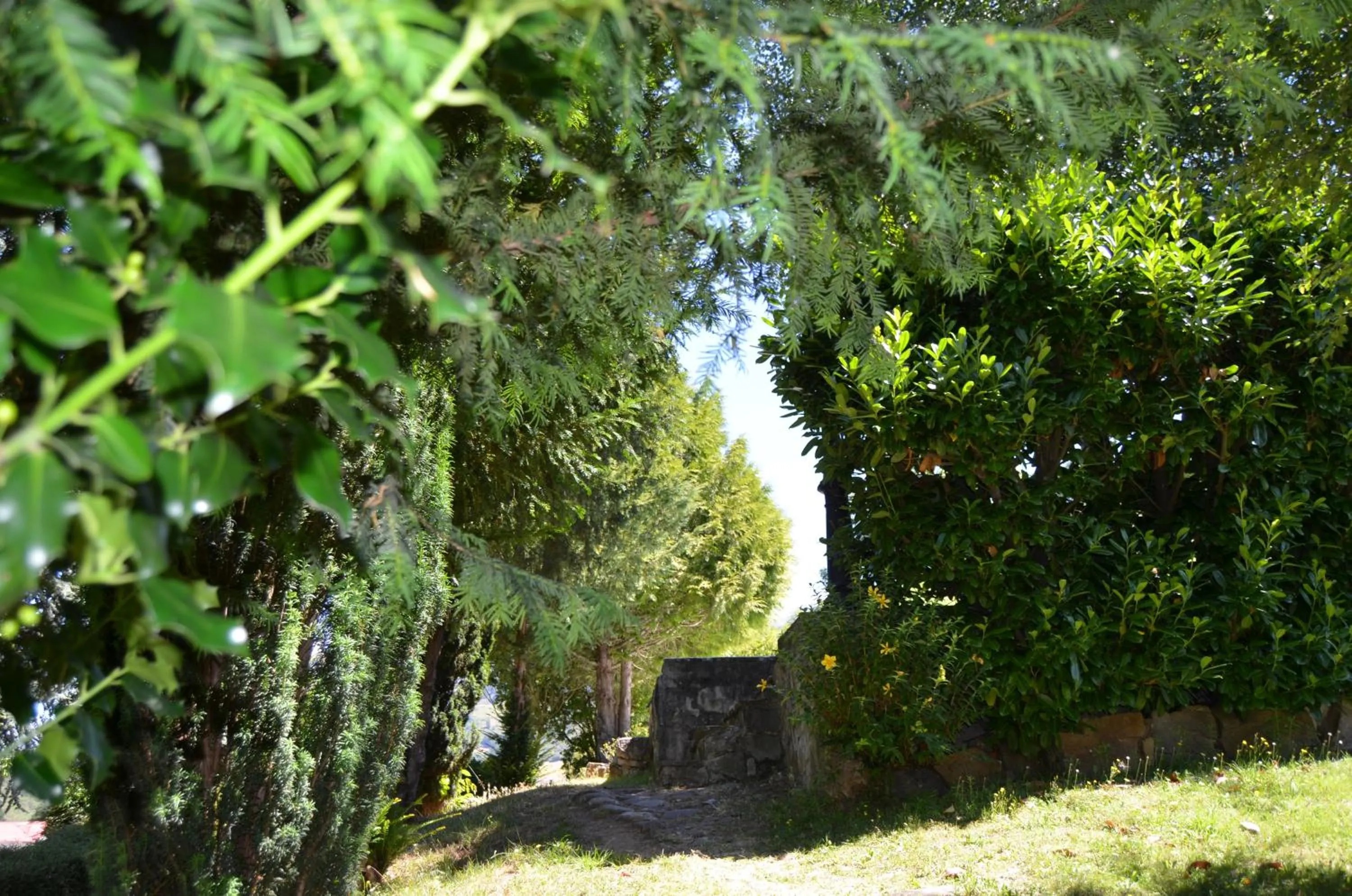 Garden in Hotel Infantado