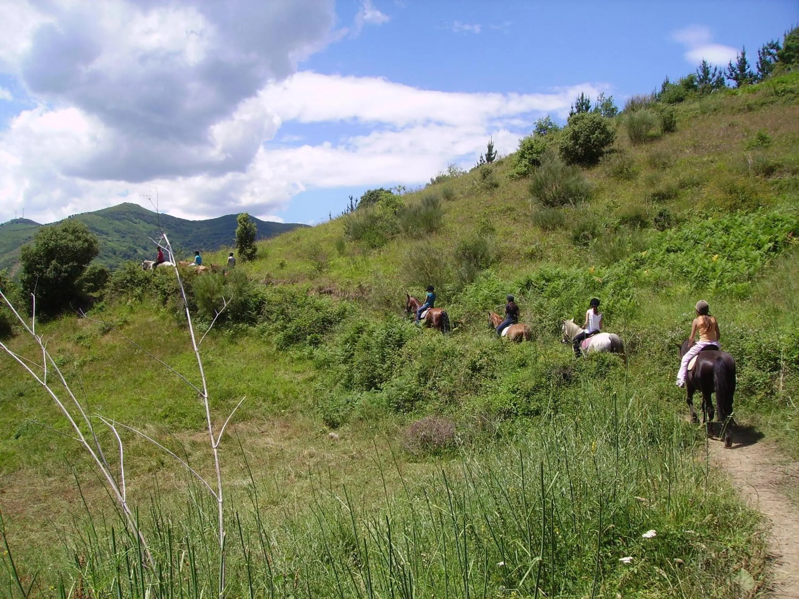 Horse-riding in Hotel Infantado